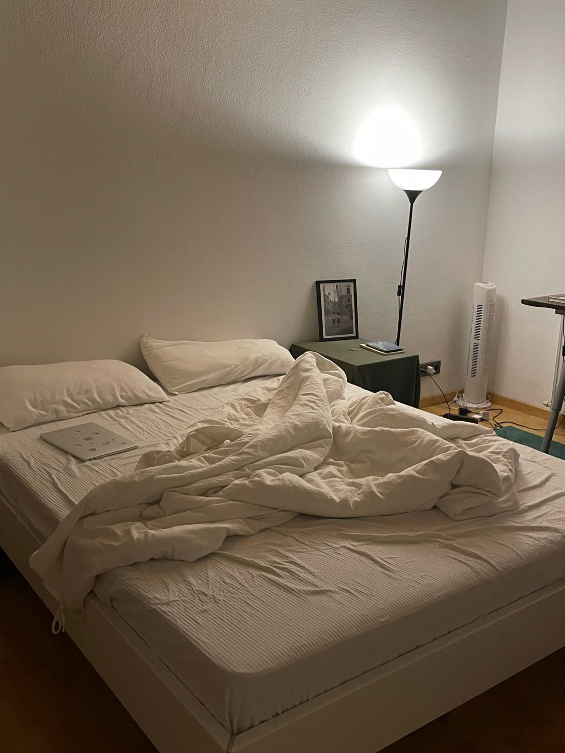 image-7