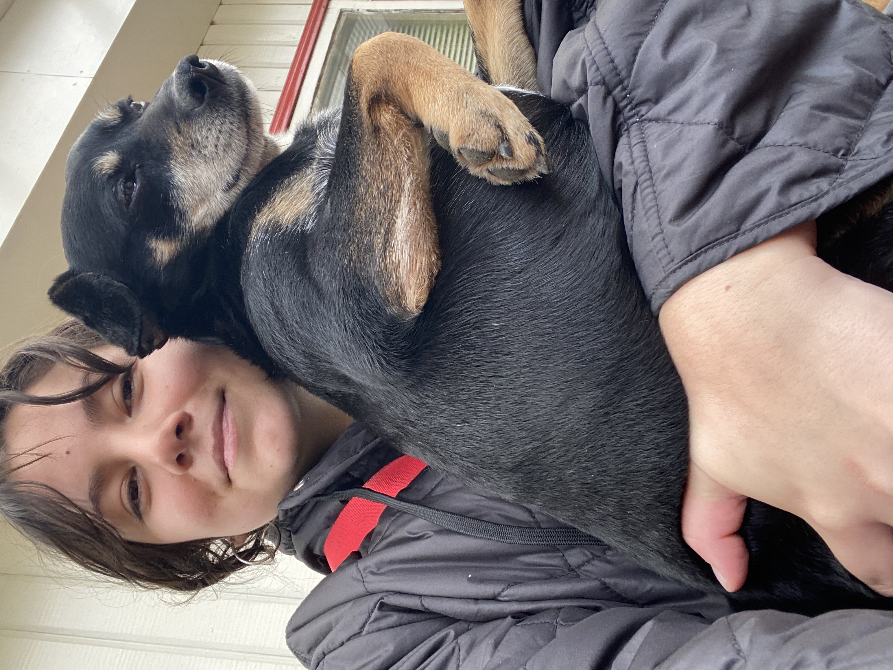 image-4