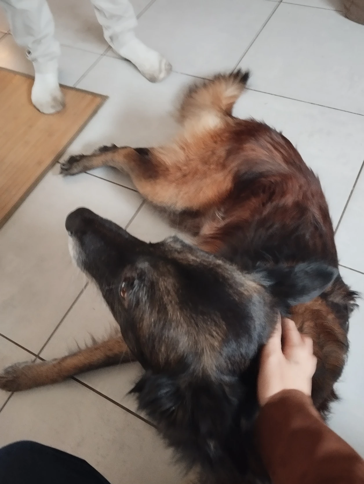 image-6