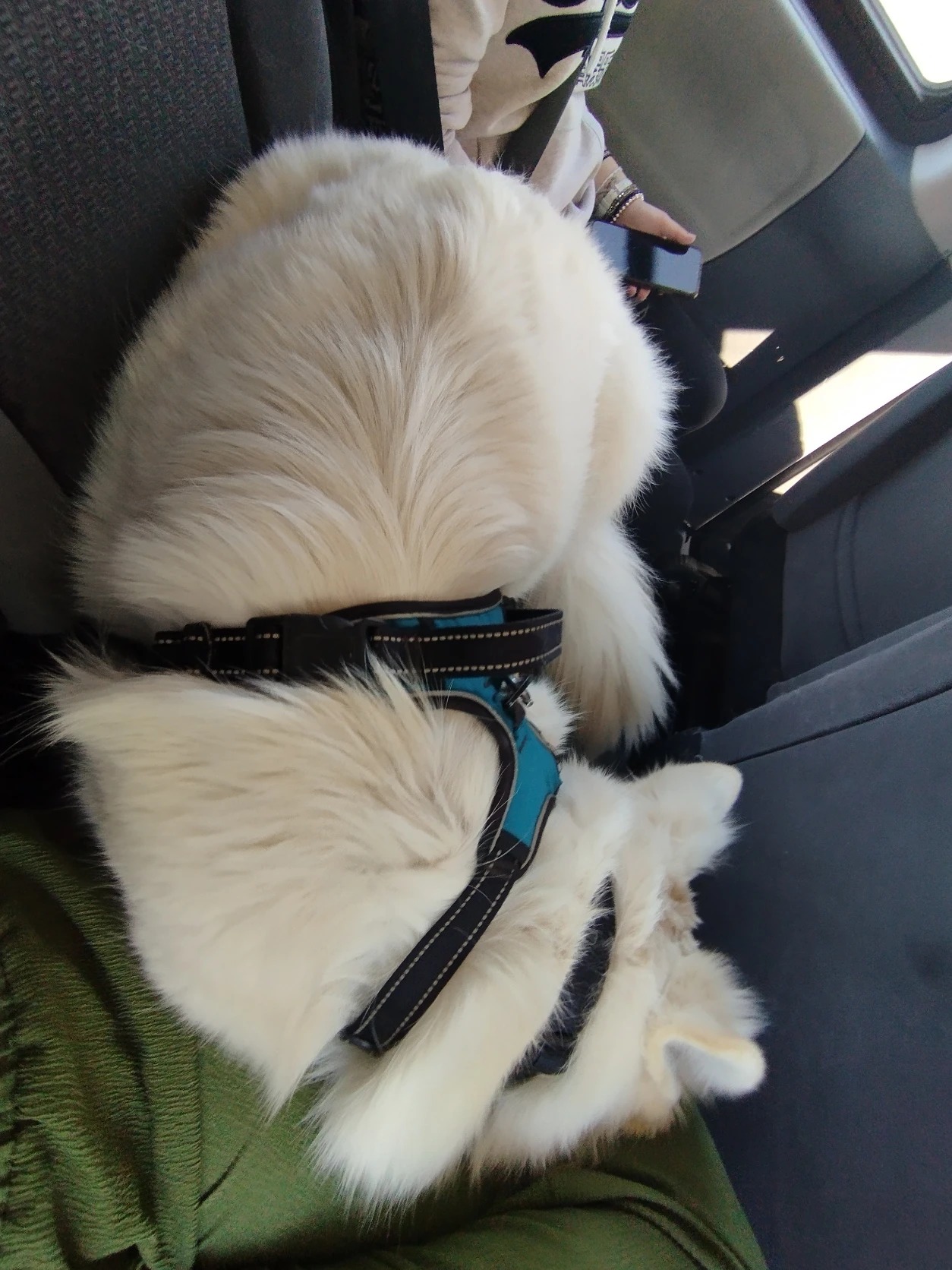 image-7