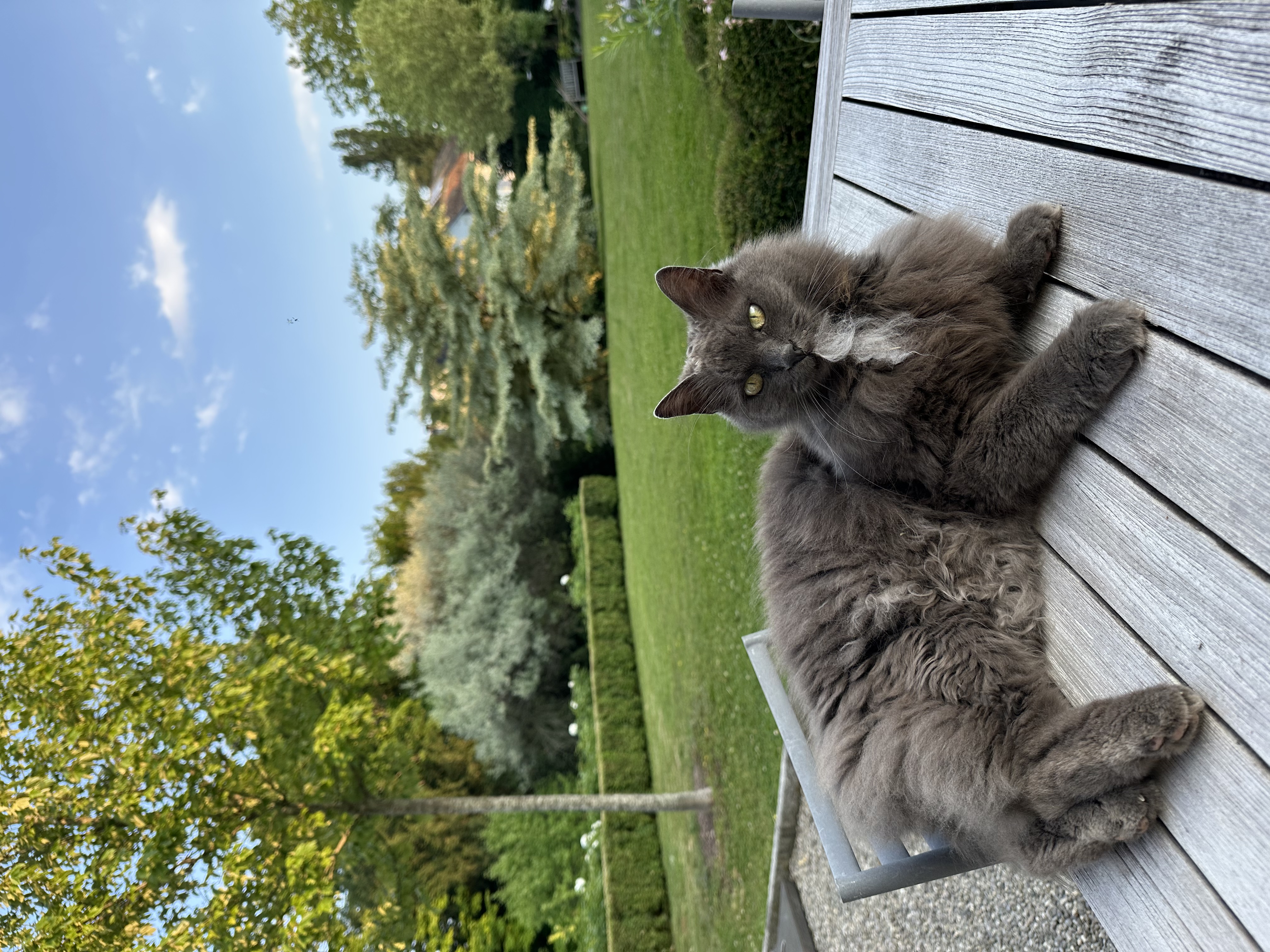 image-11
