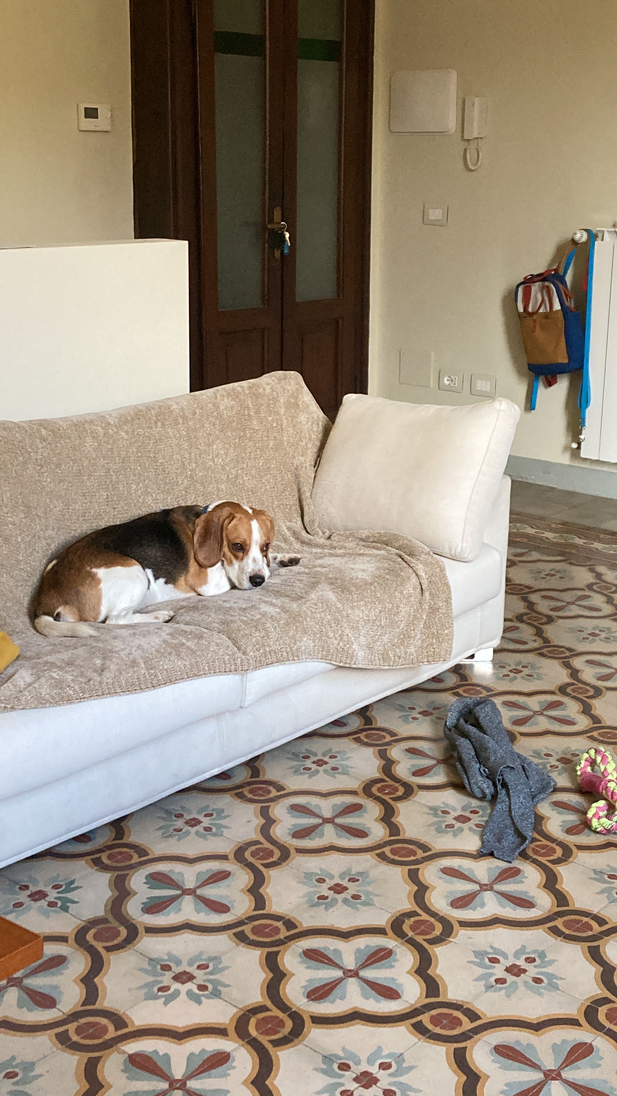 image-12