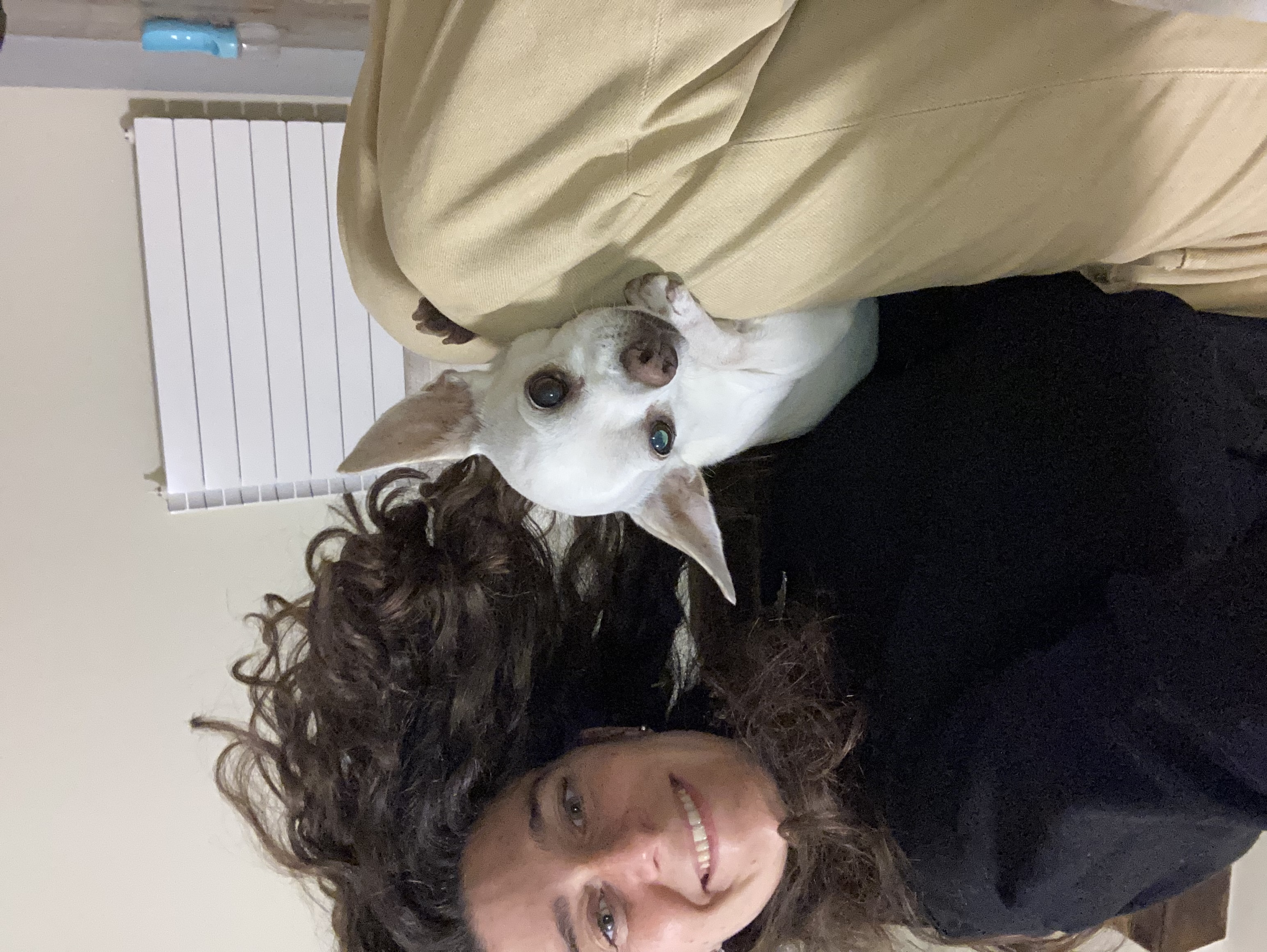 image-8