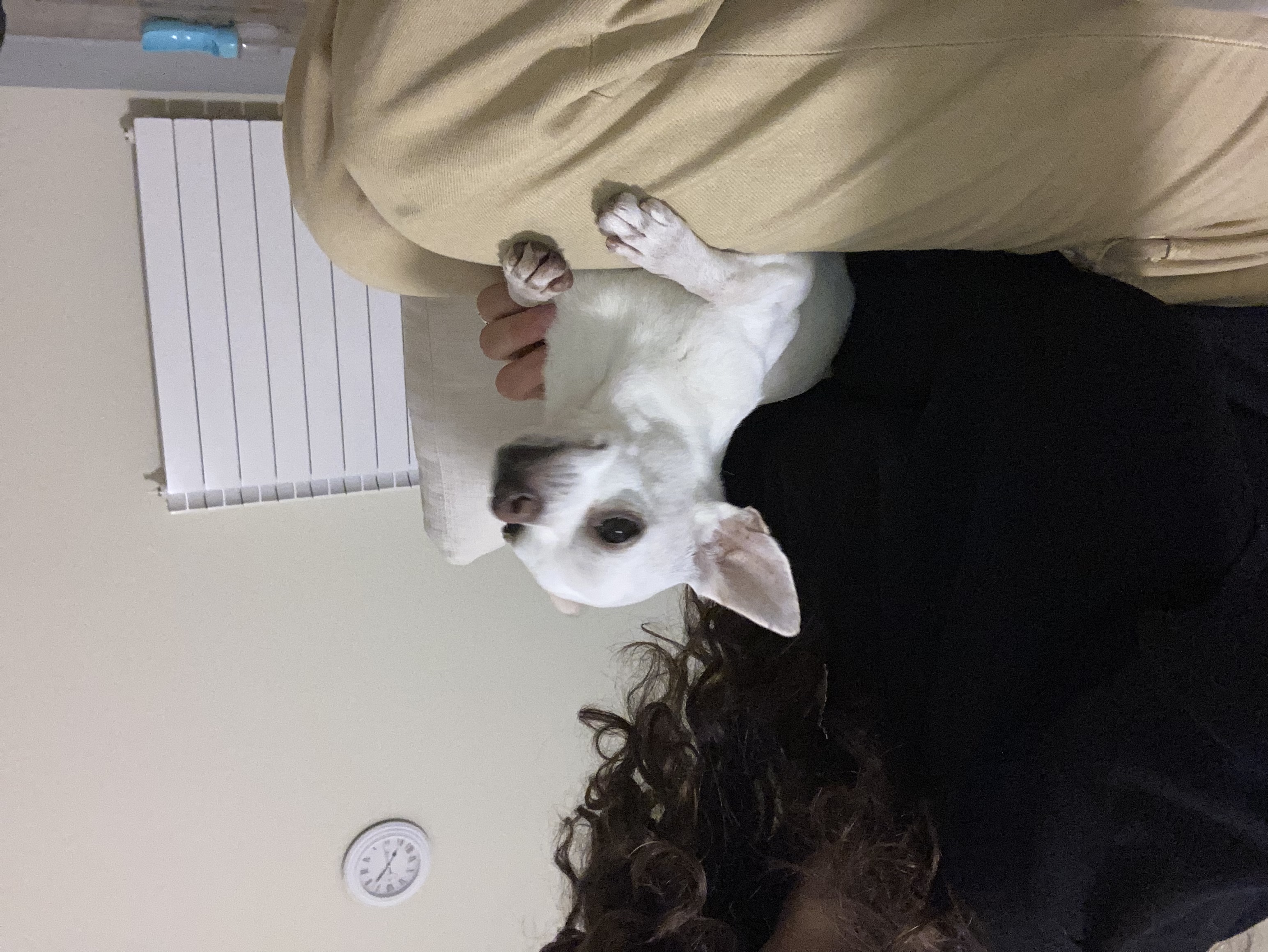 image-9