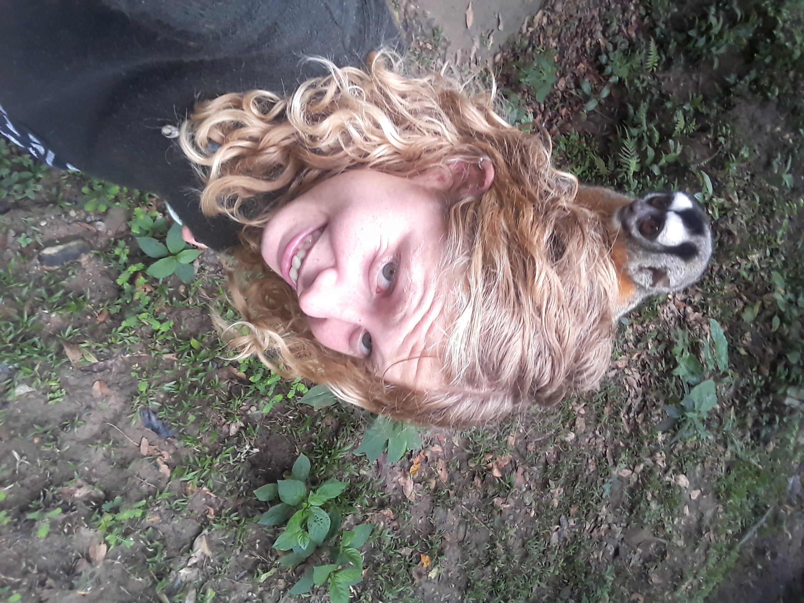 image-6