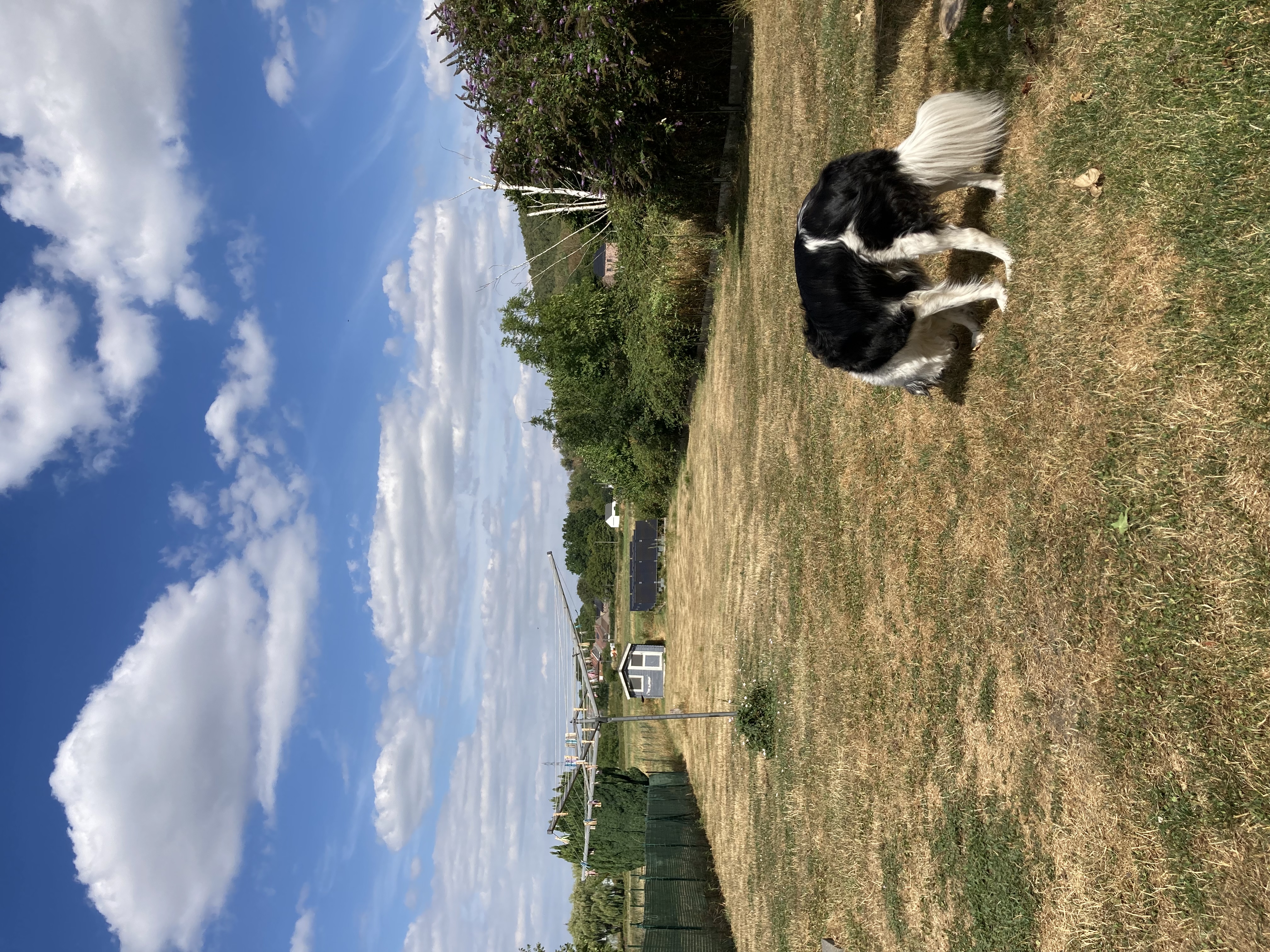 image-21