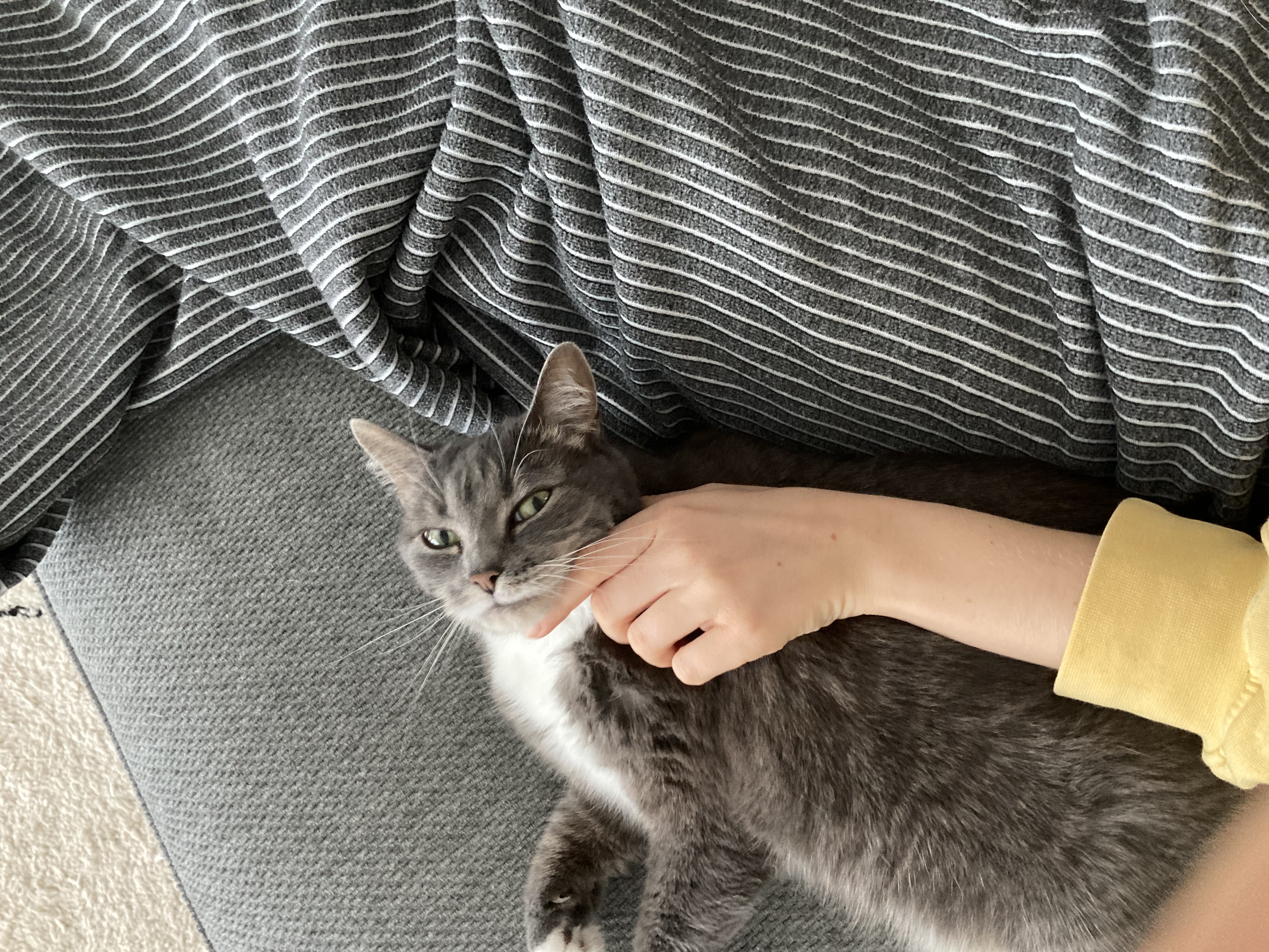 image-8