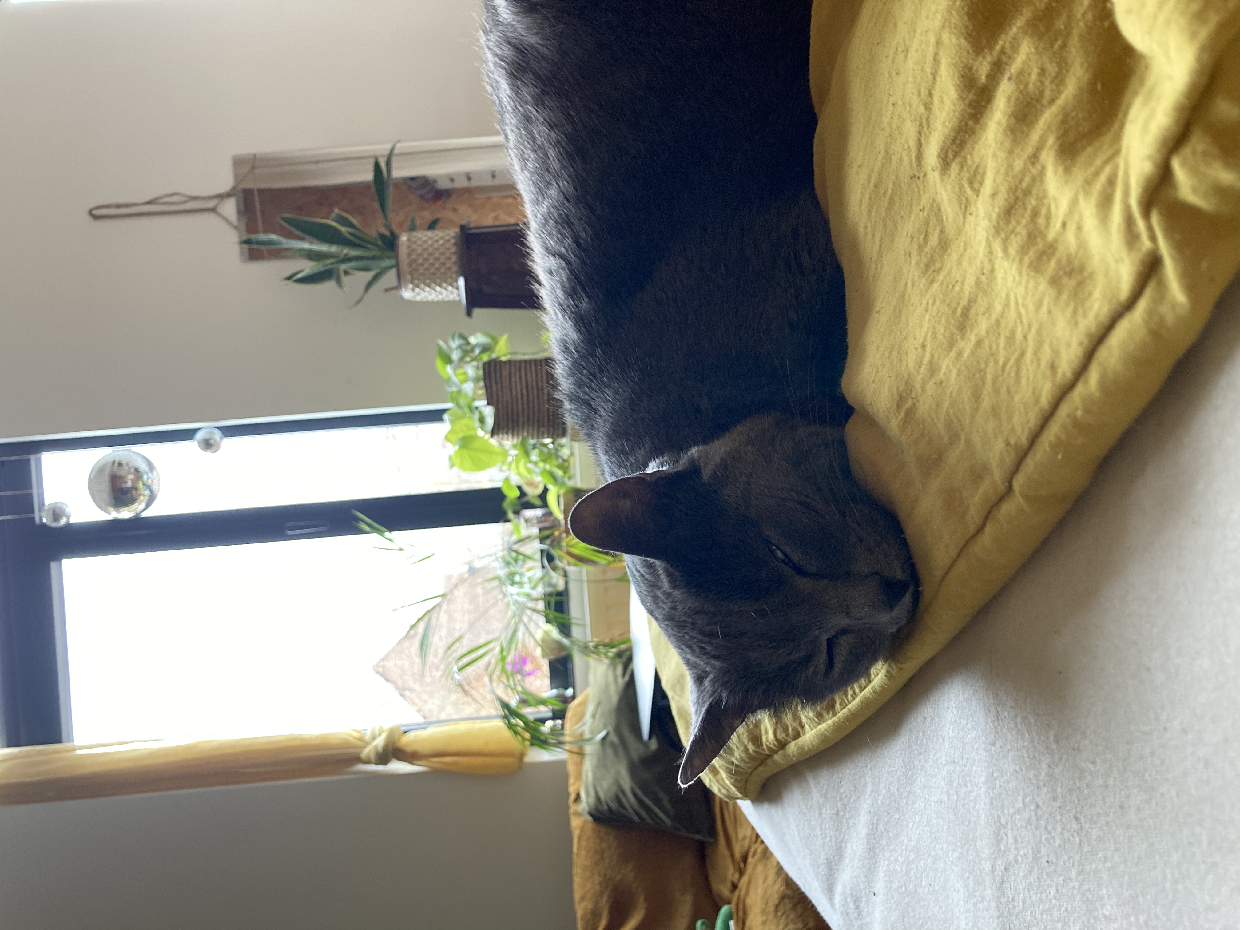 image-17