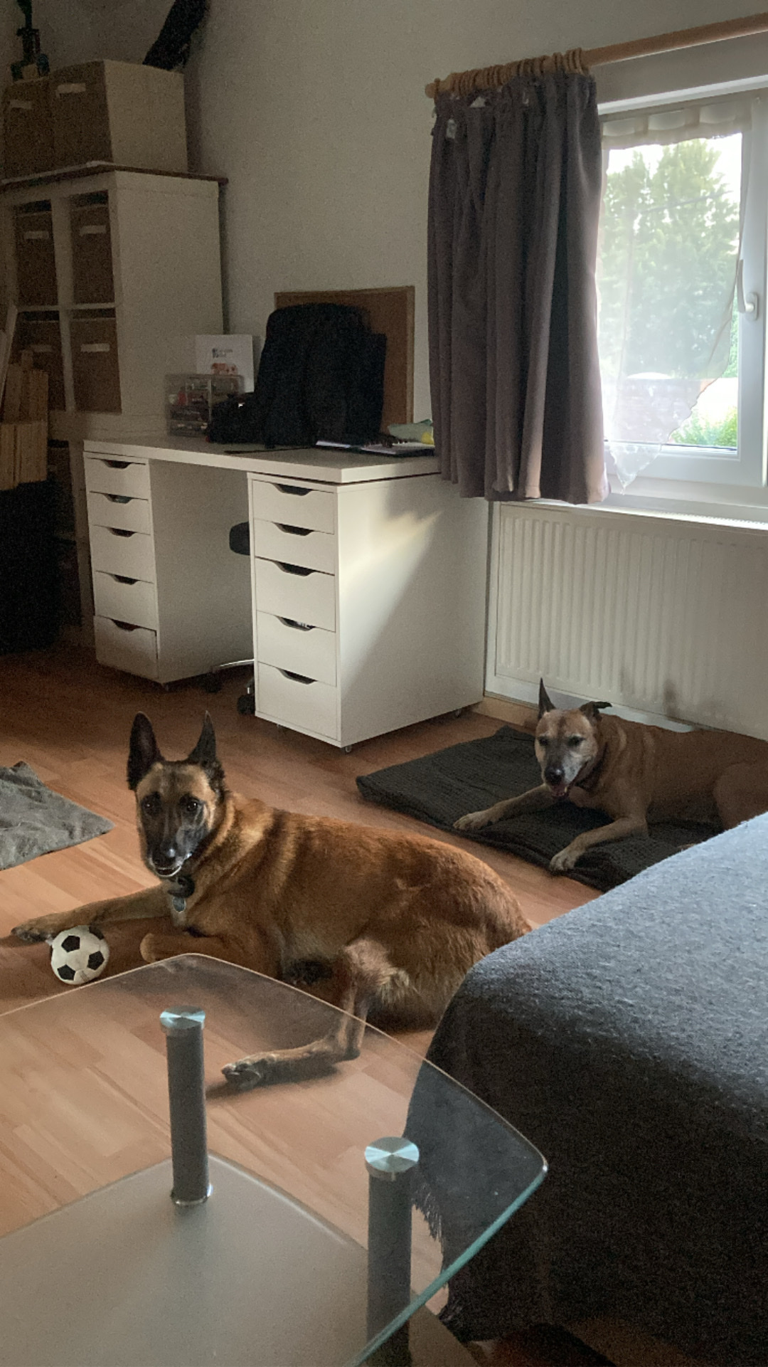 image-20