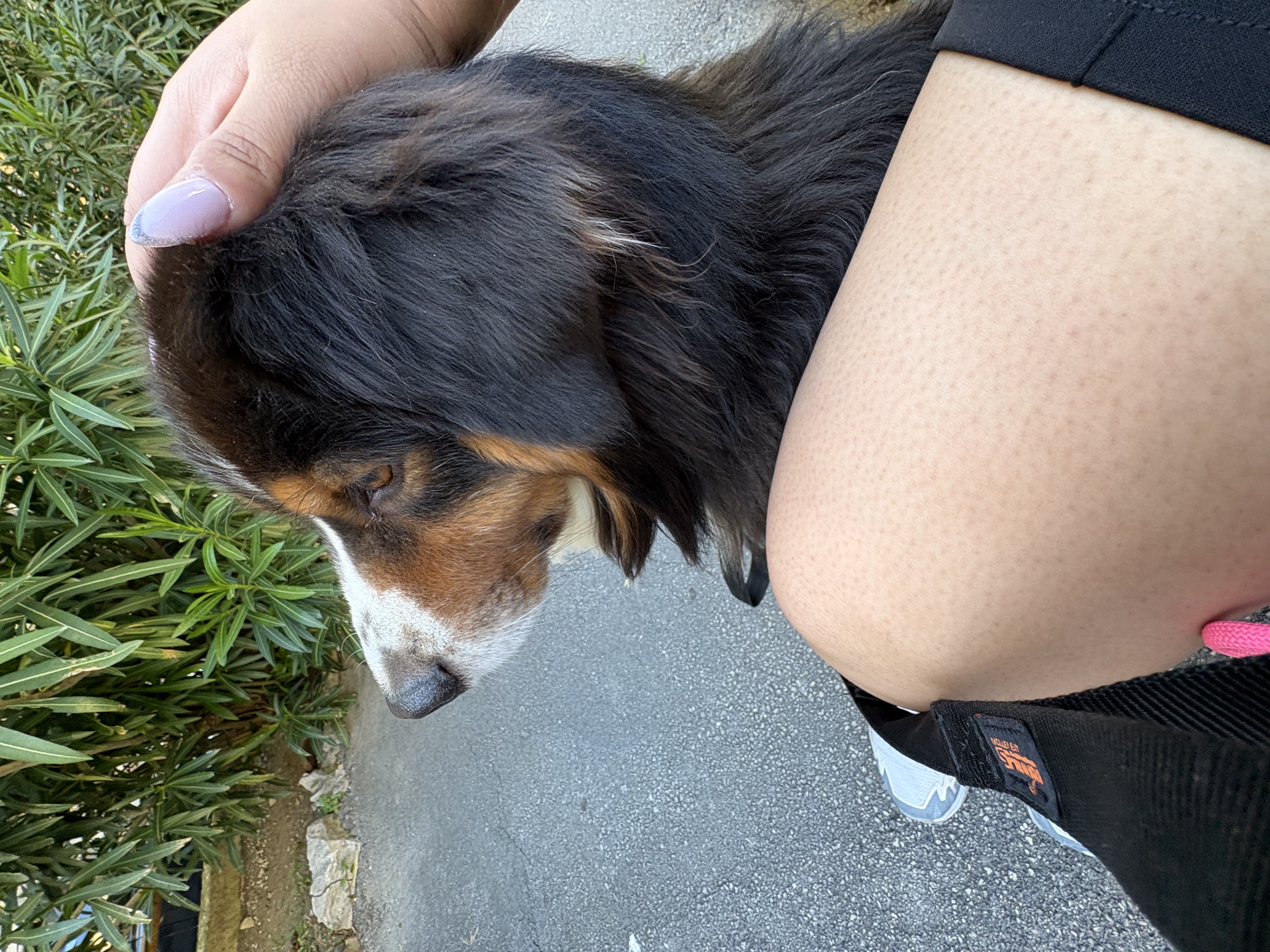 image-7