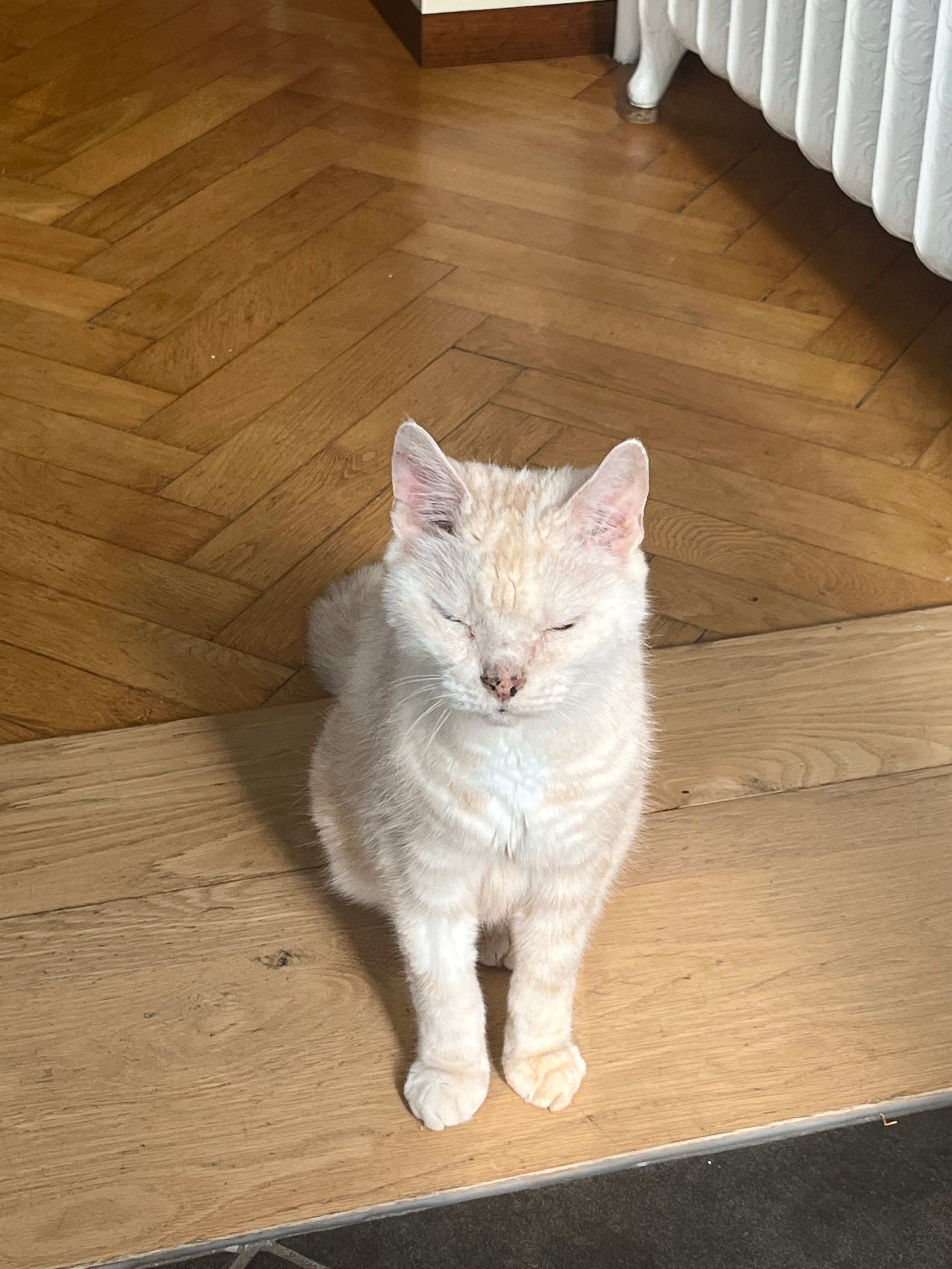 image-15