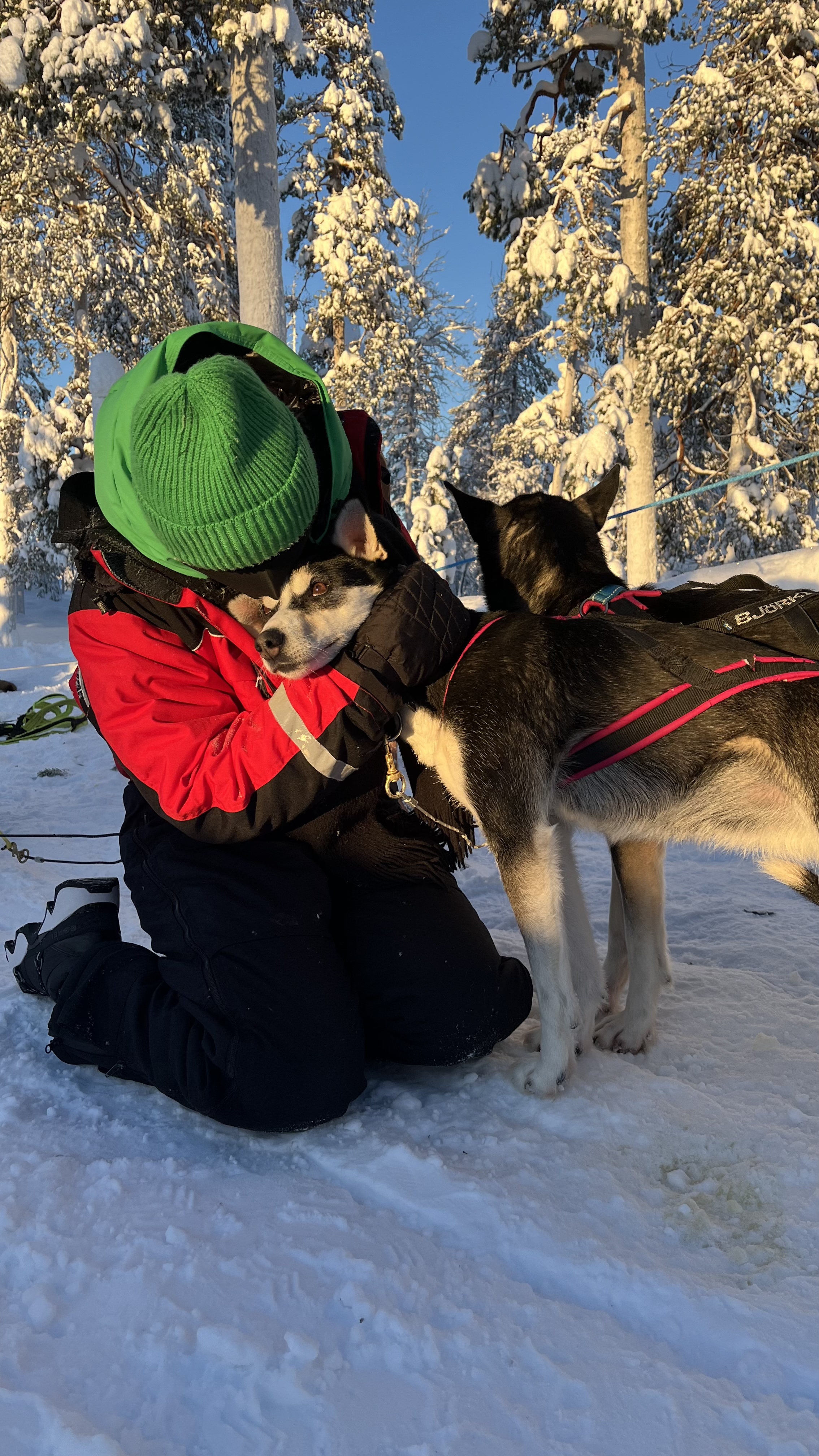 image-9