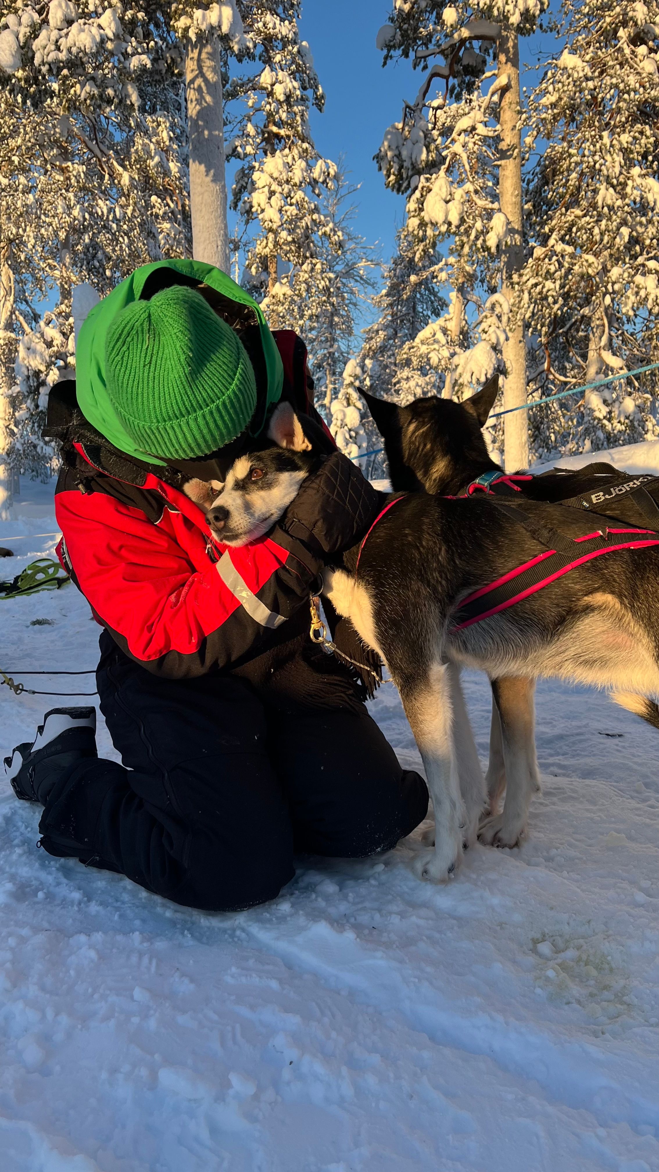image-9