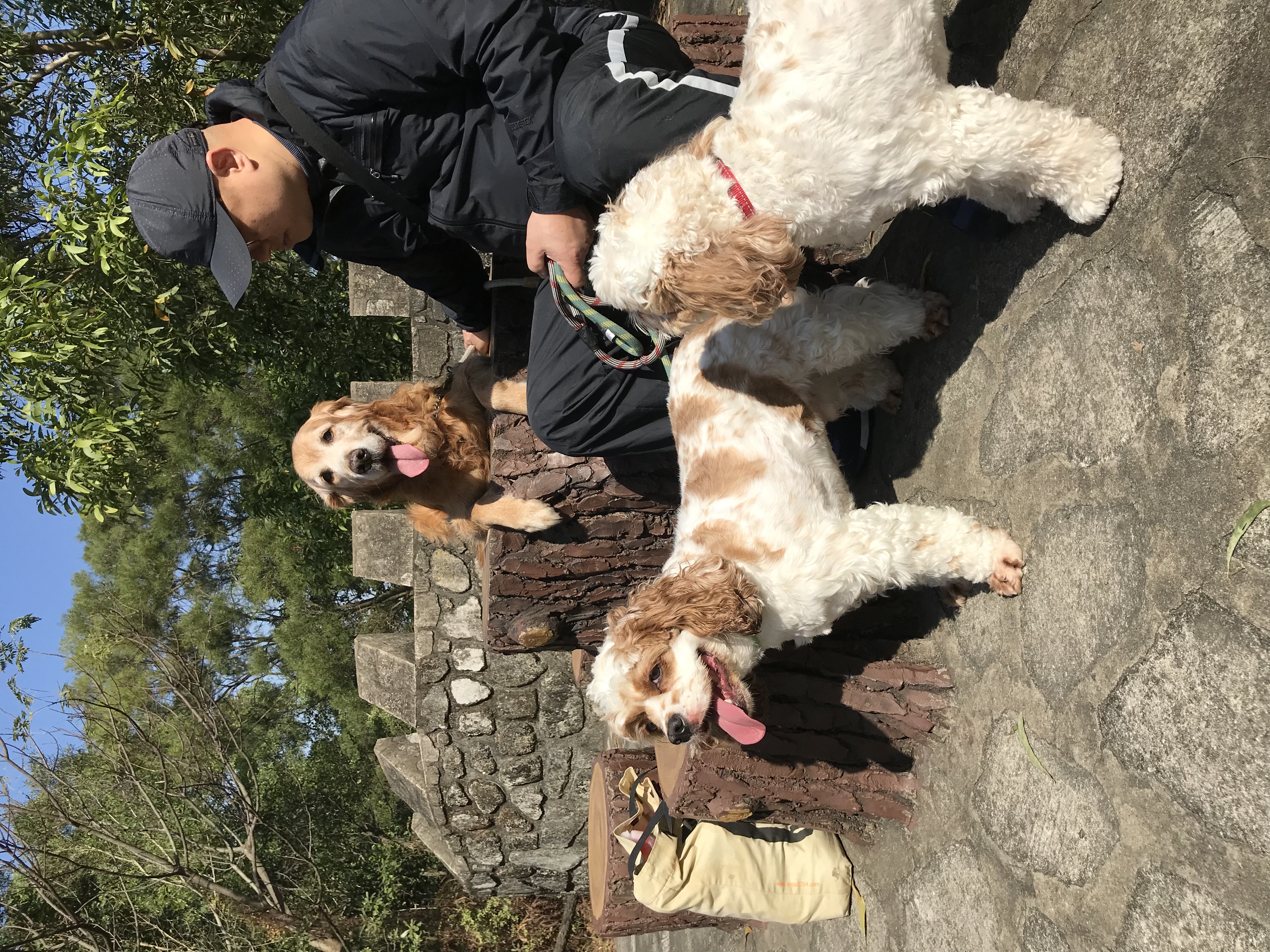 image-2