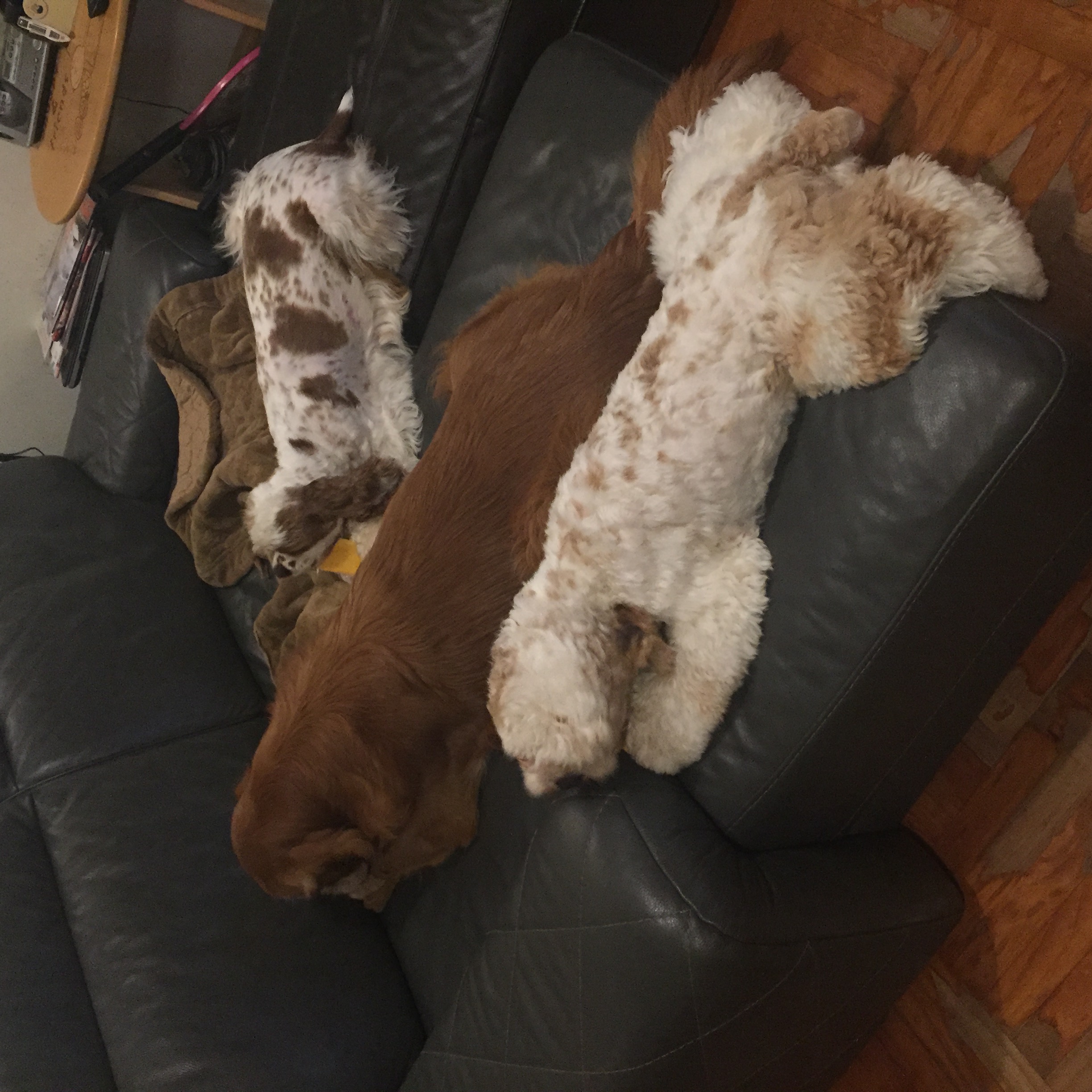image-6