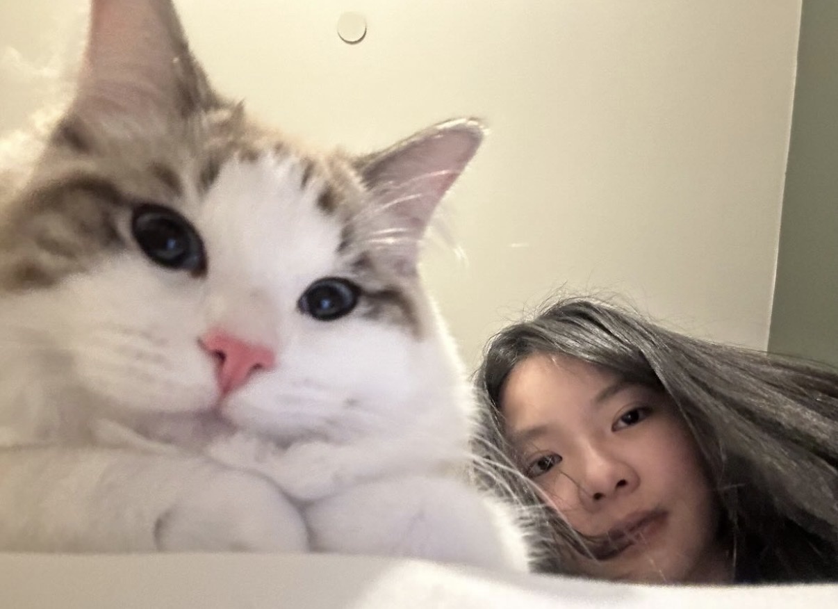 image-8