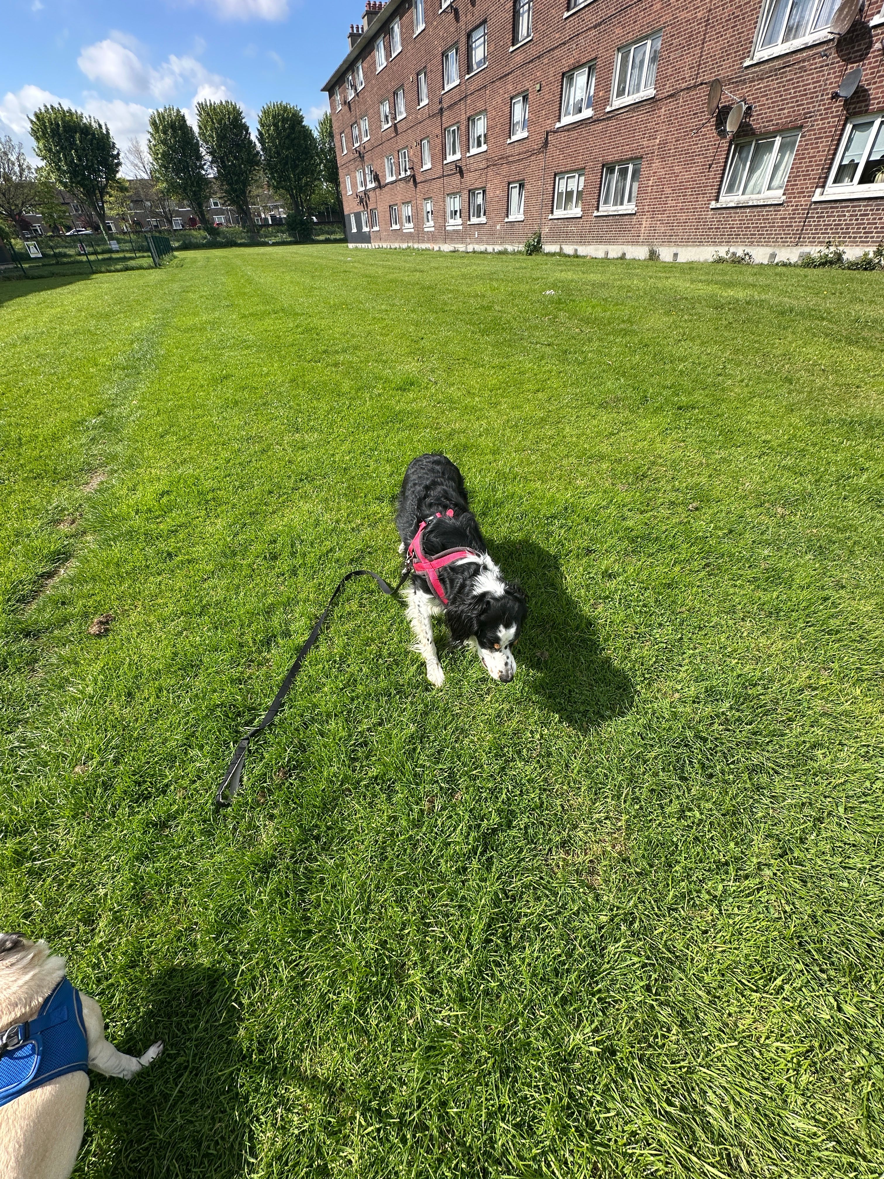 image-19