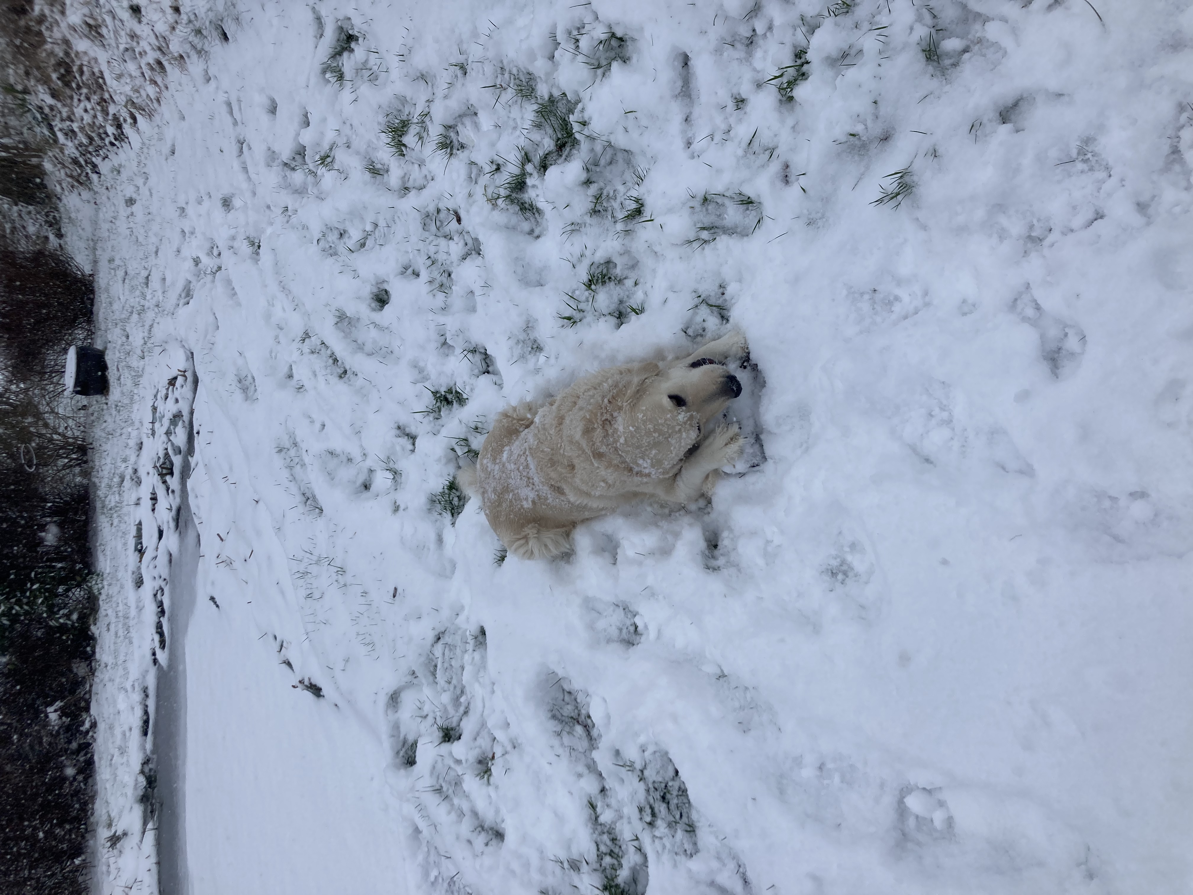 image-8