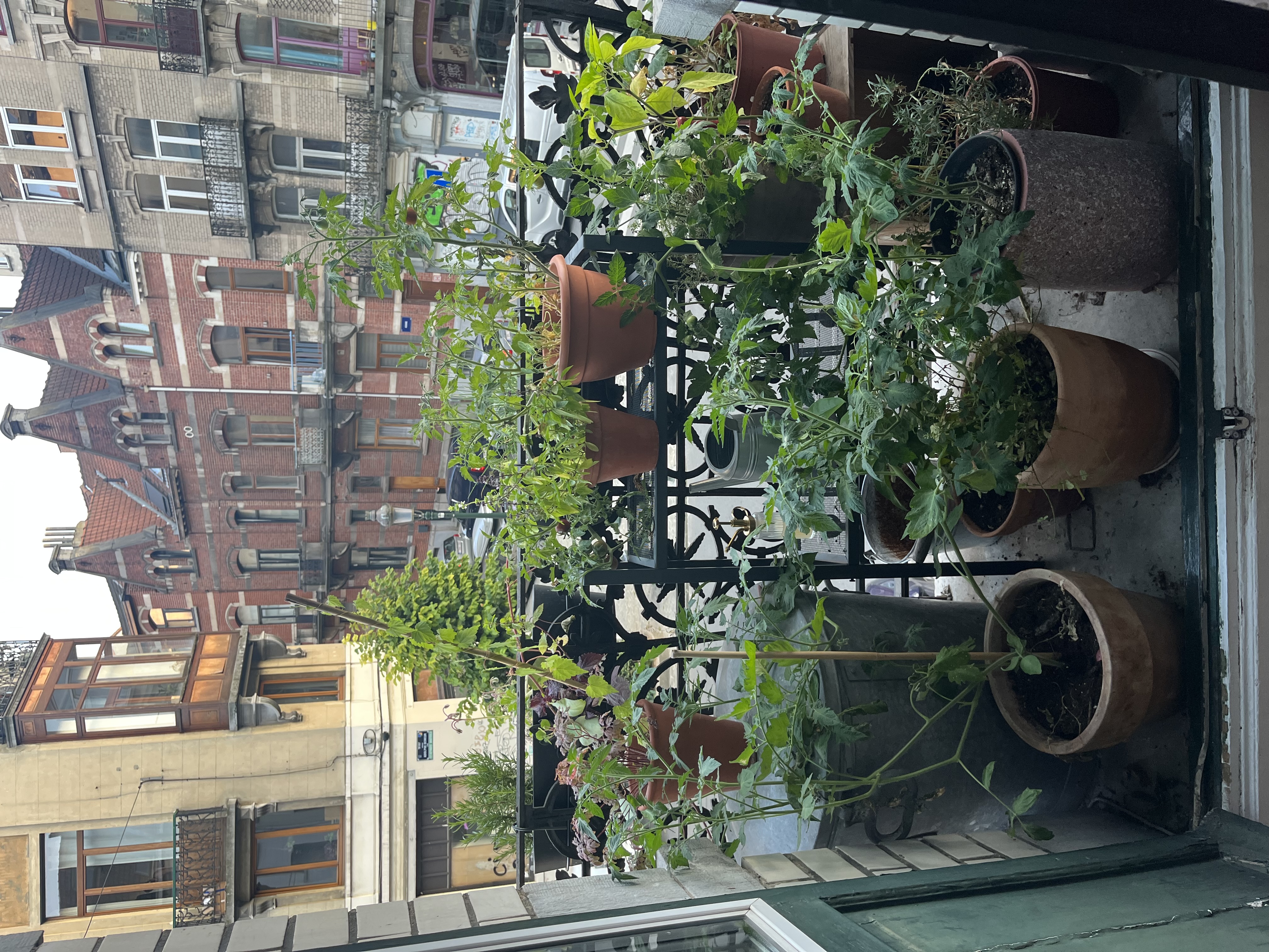 image-12