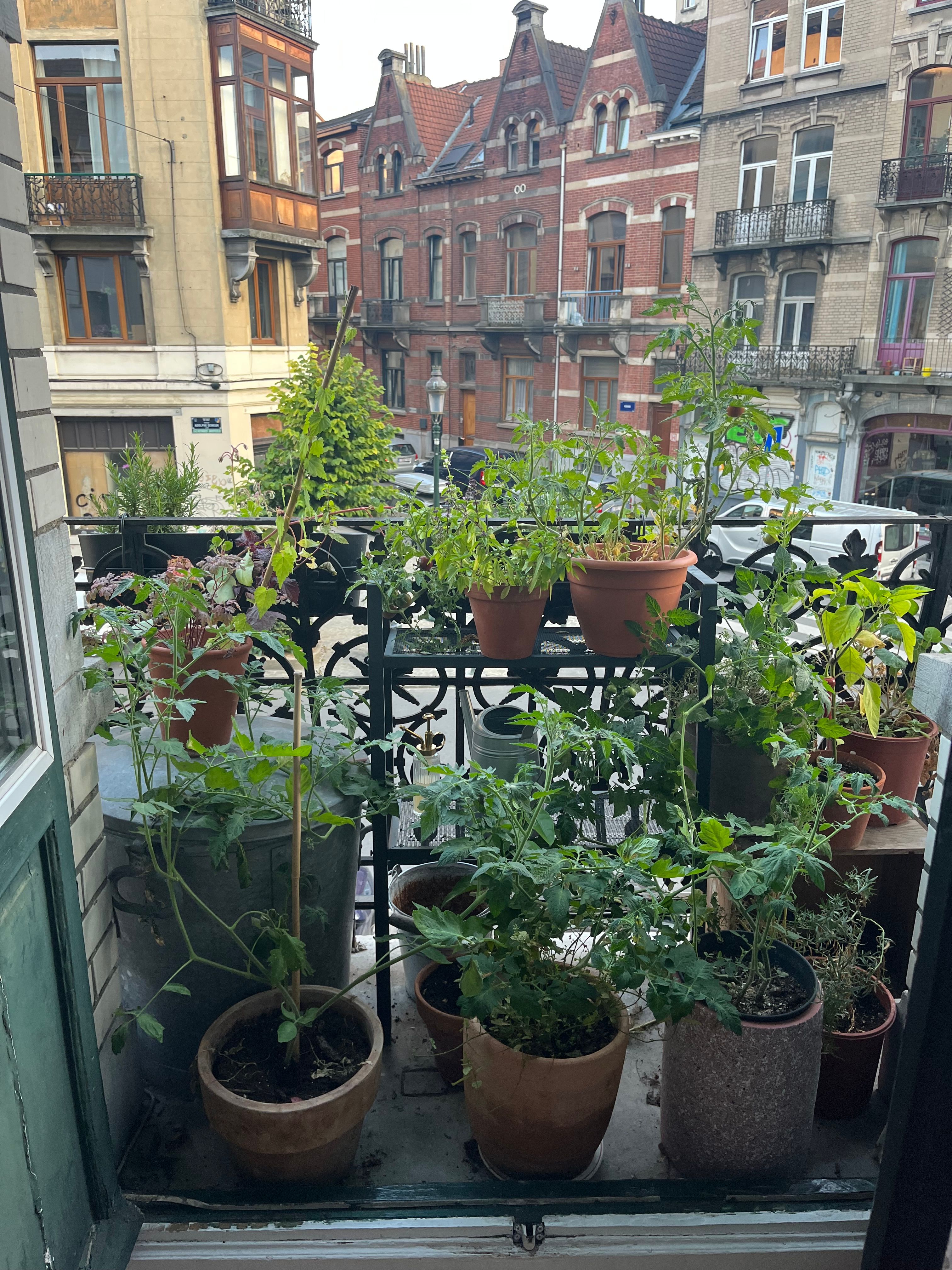 image-12