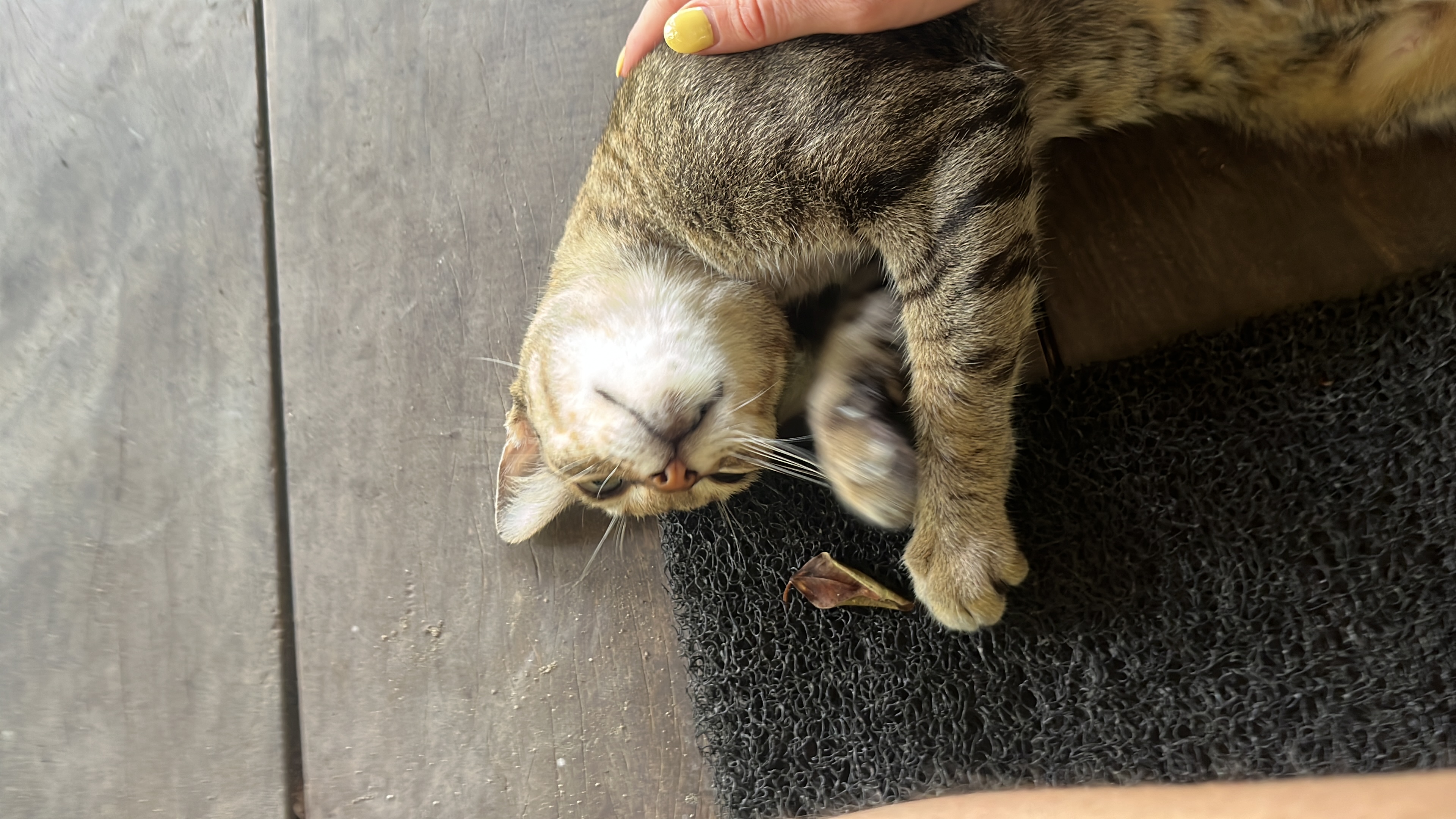 image-8