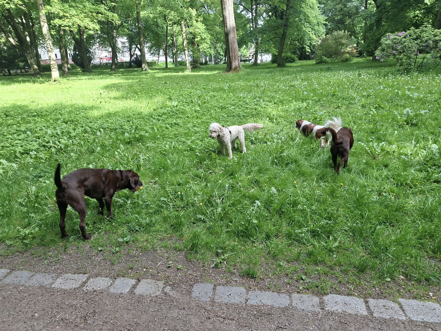 image-22