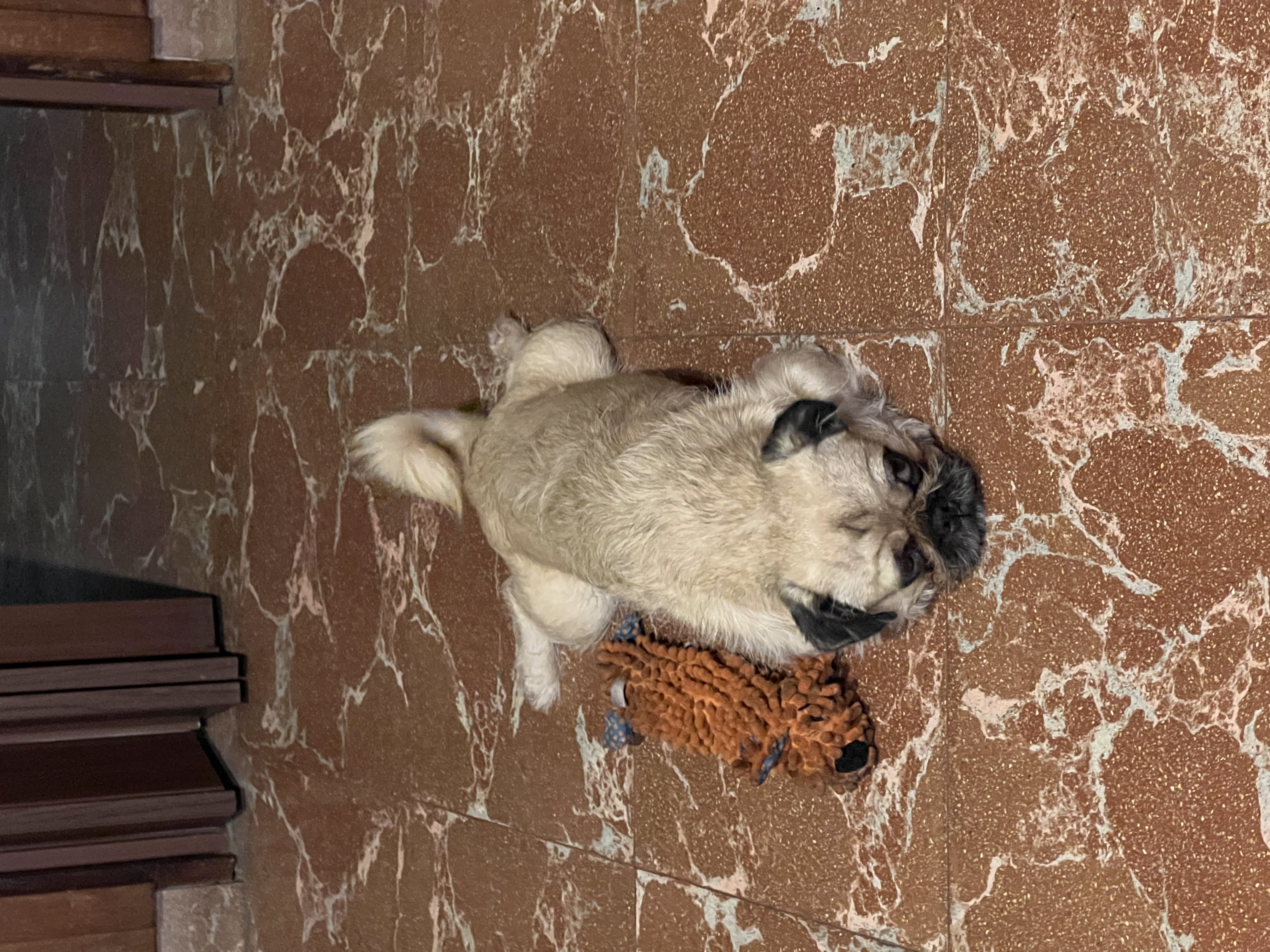 image-6