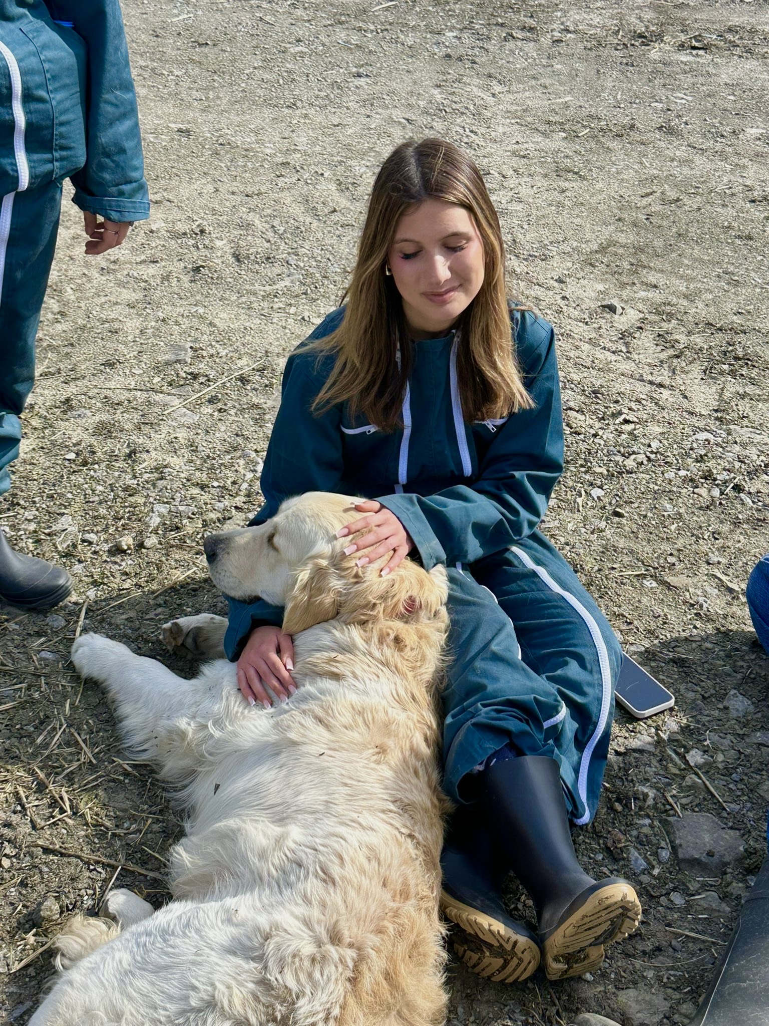image-6