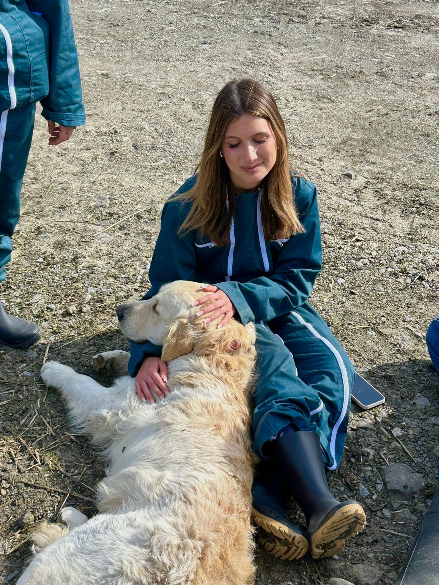 image-6
