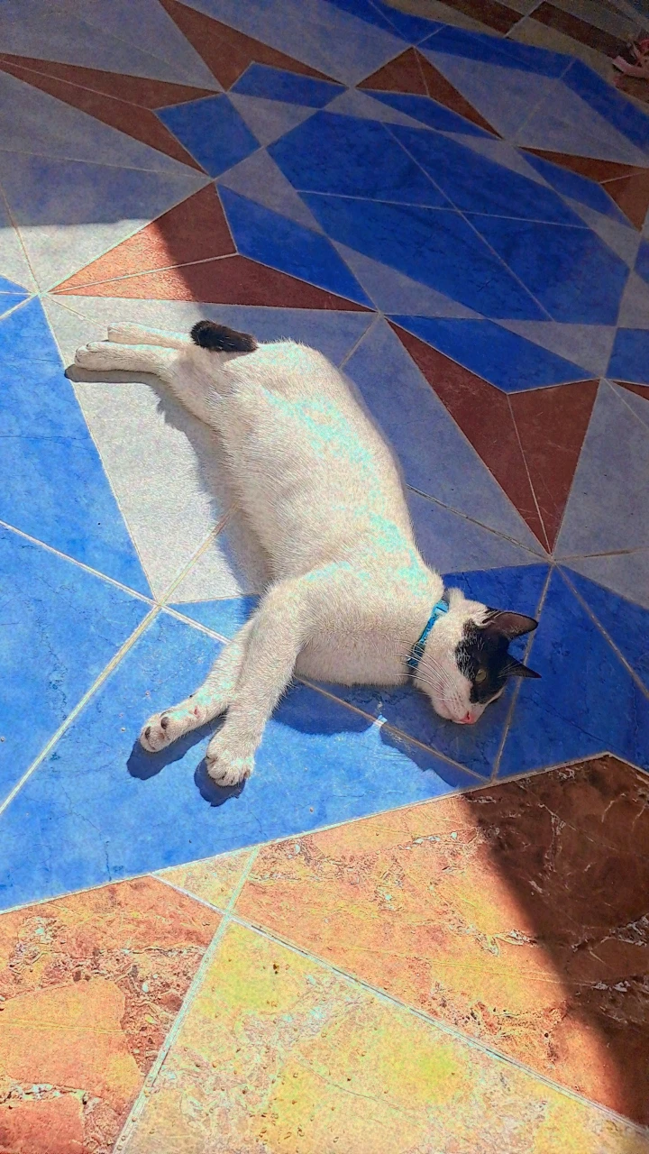 image-5