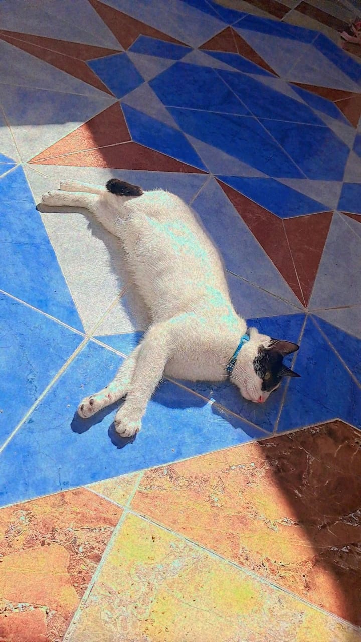 image-5