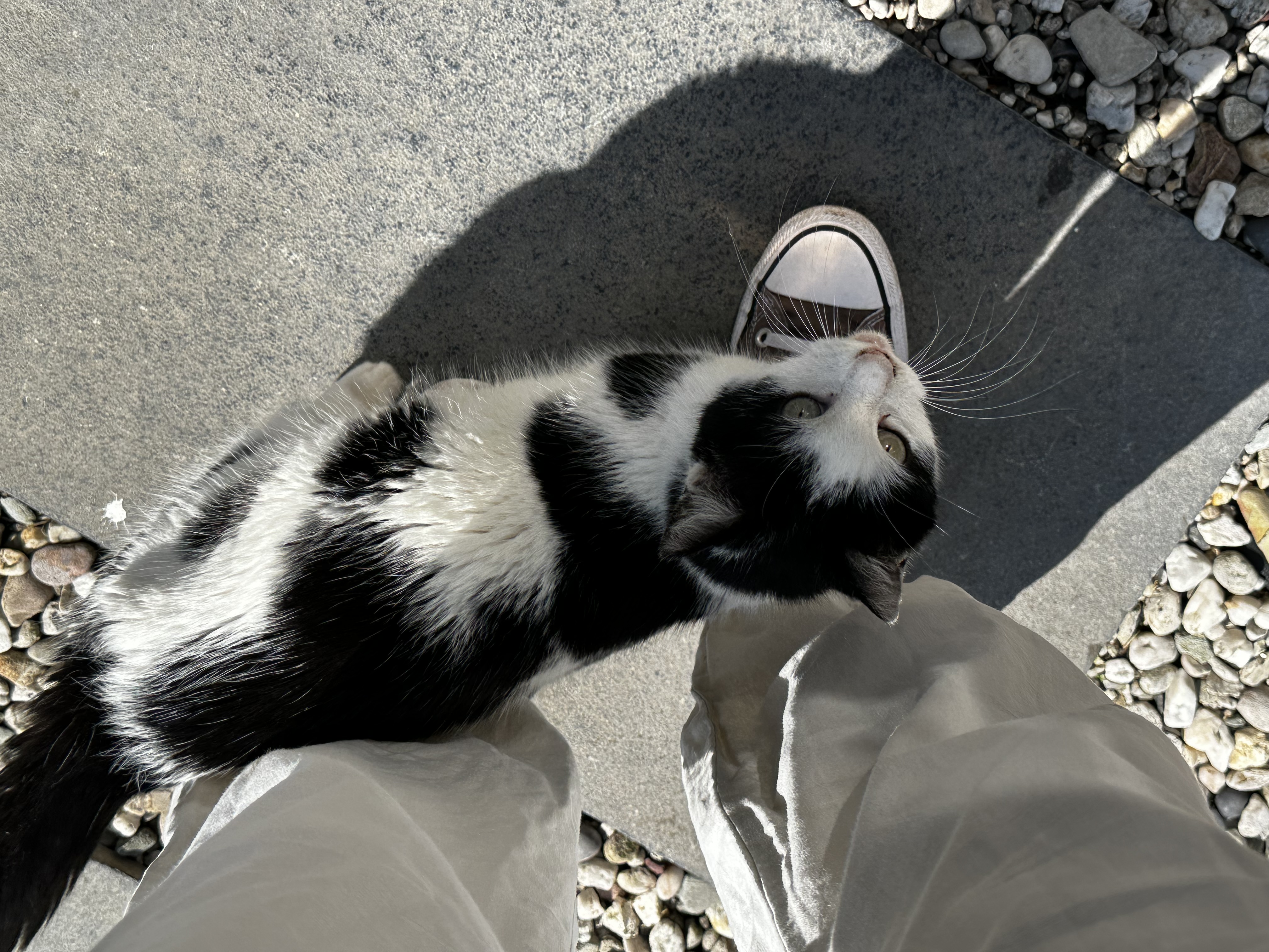 image-4