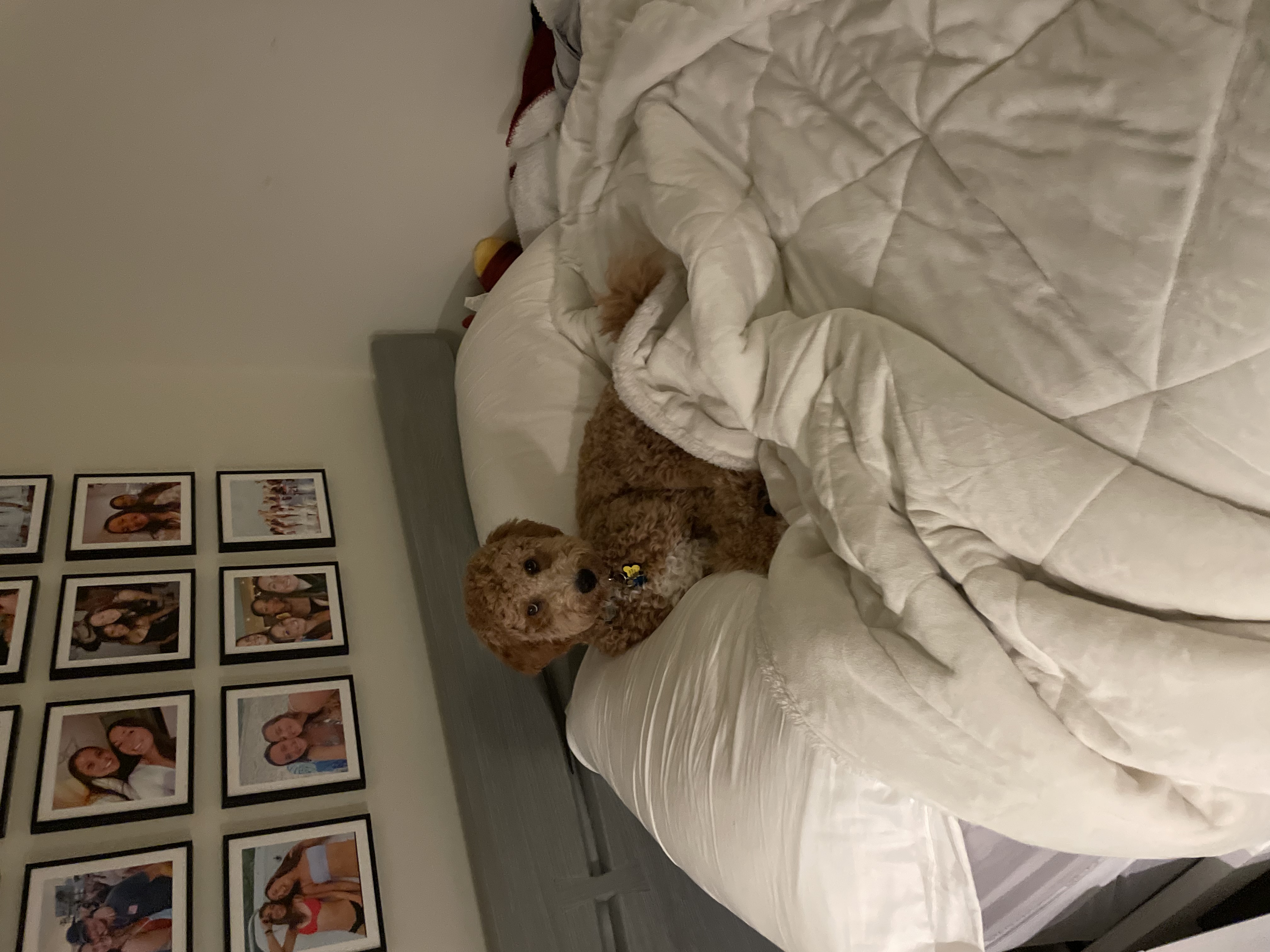 image-13