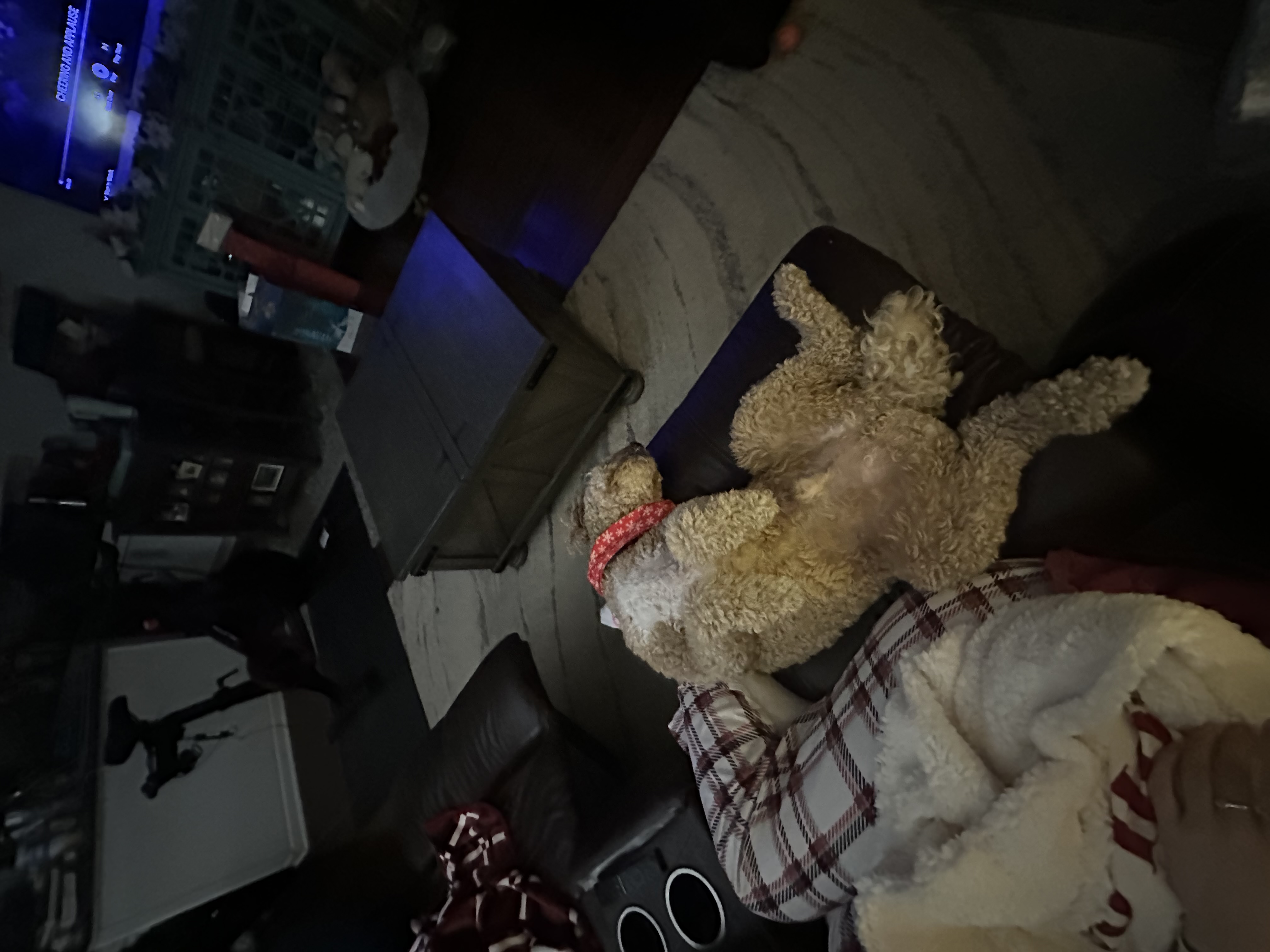 image-7