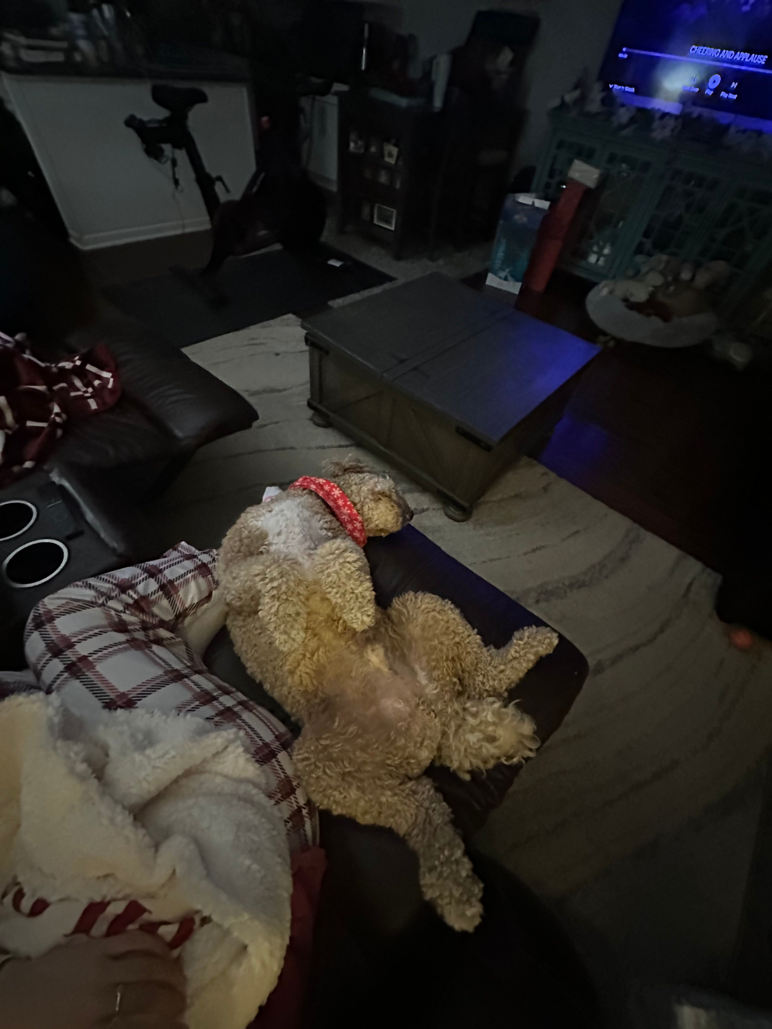 image-7