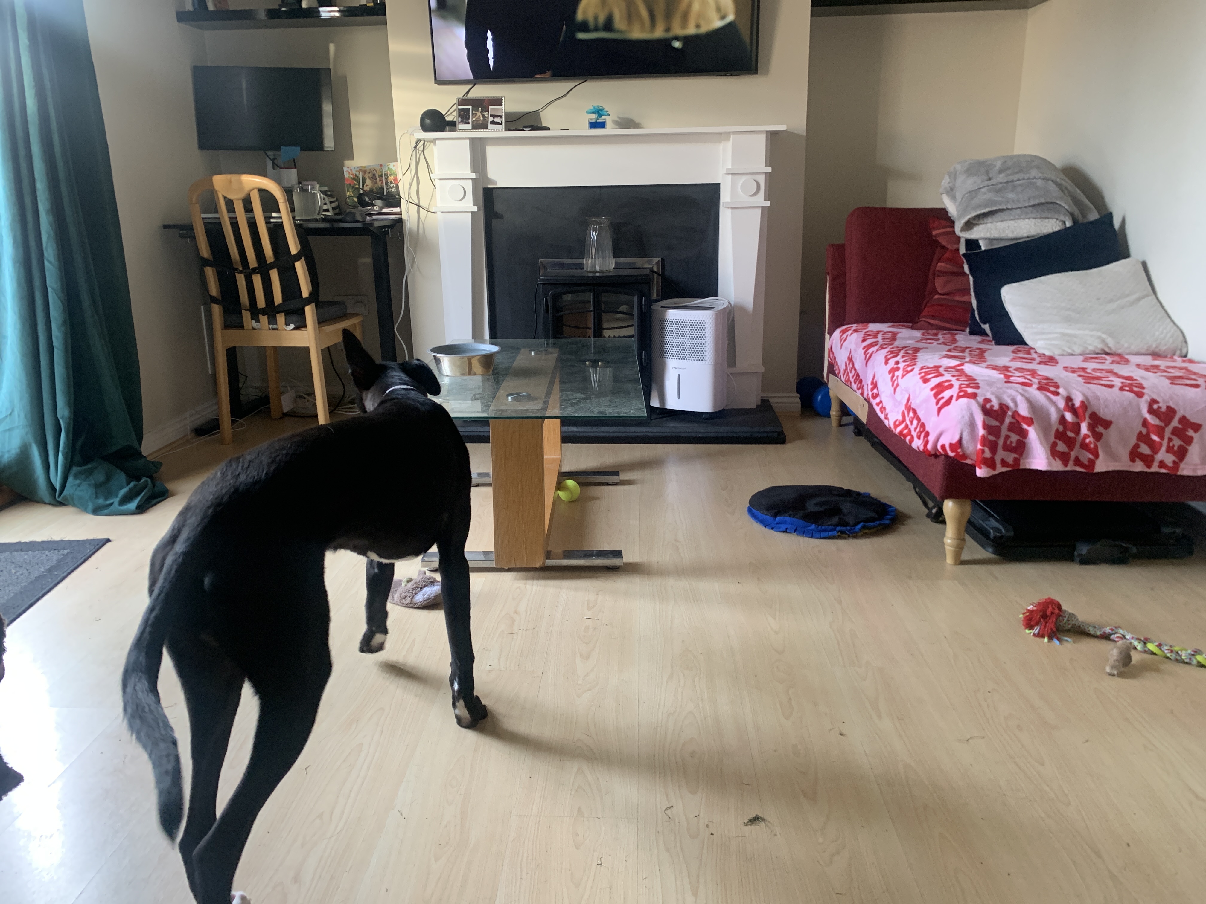image-28