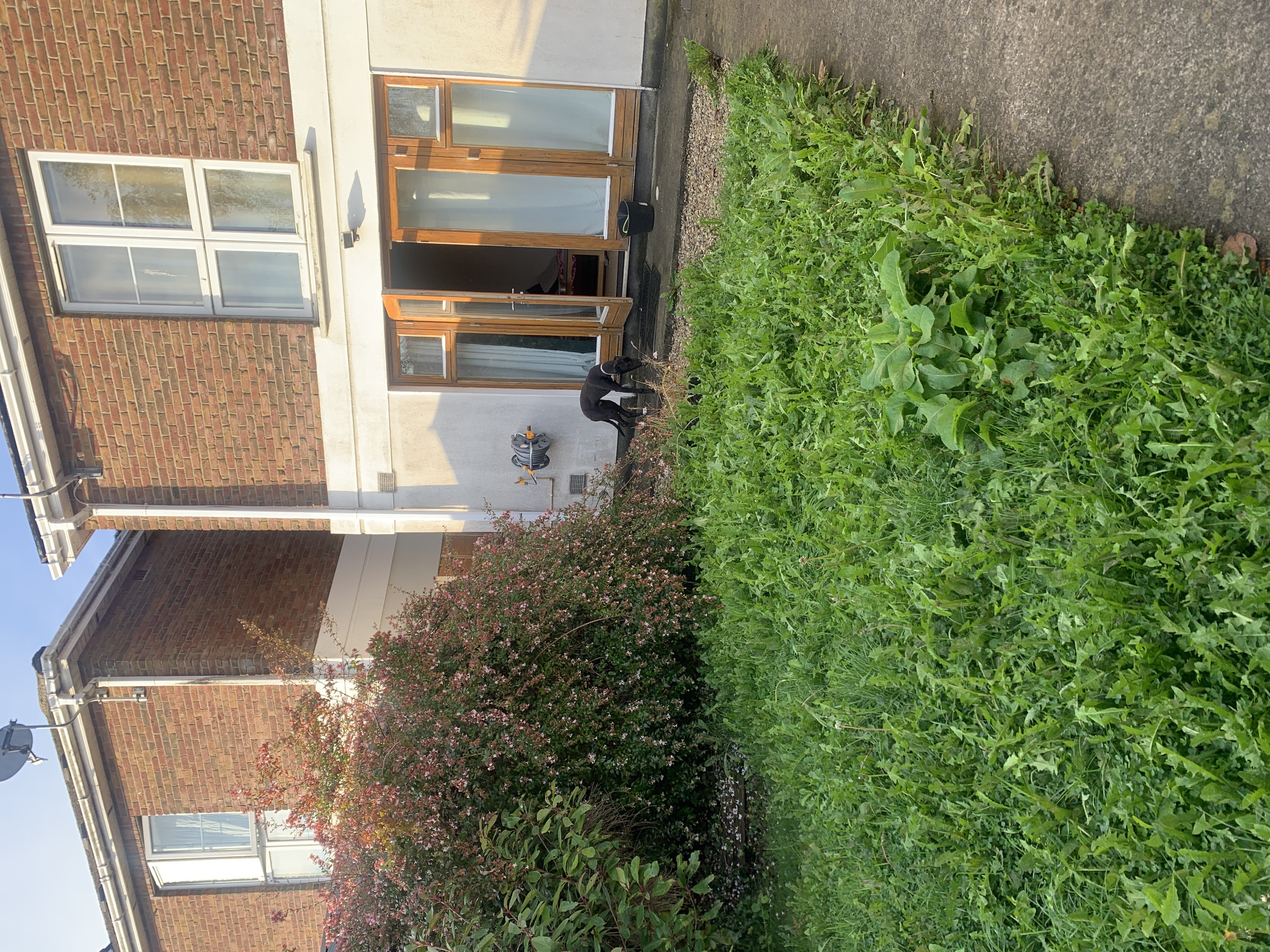 image-32