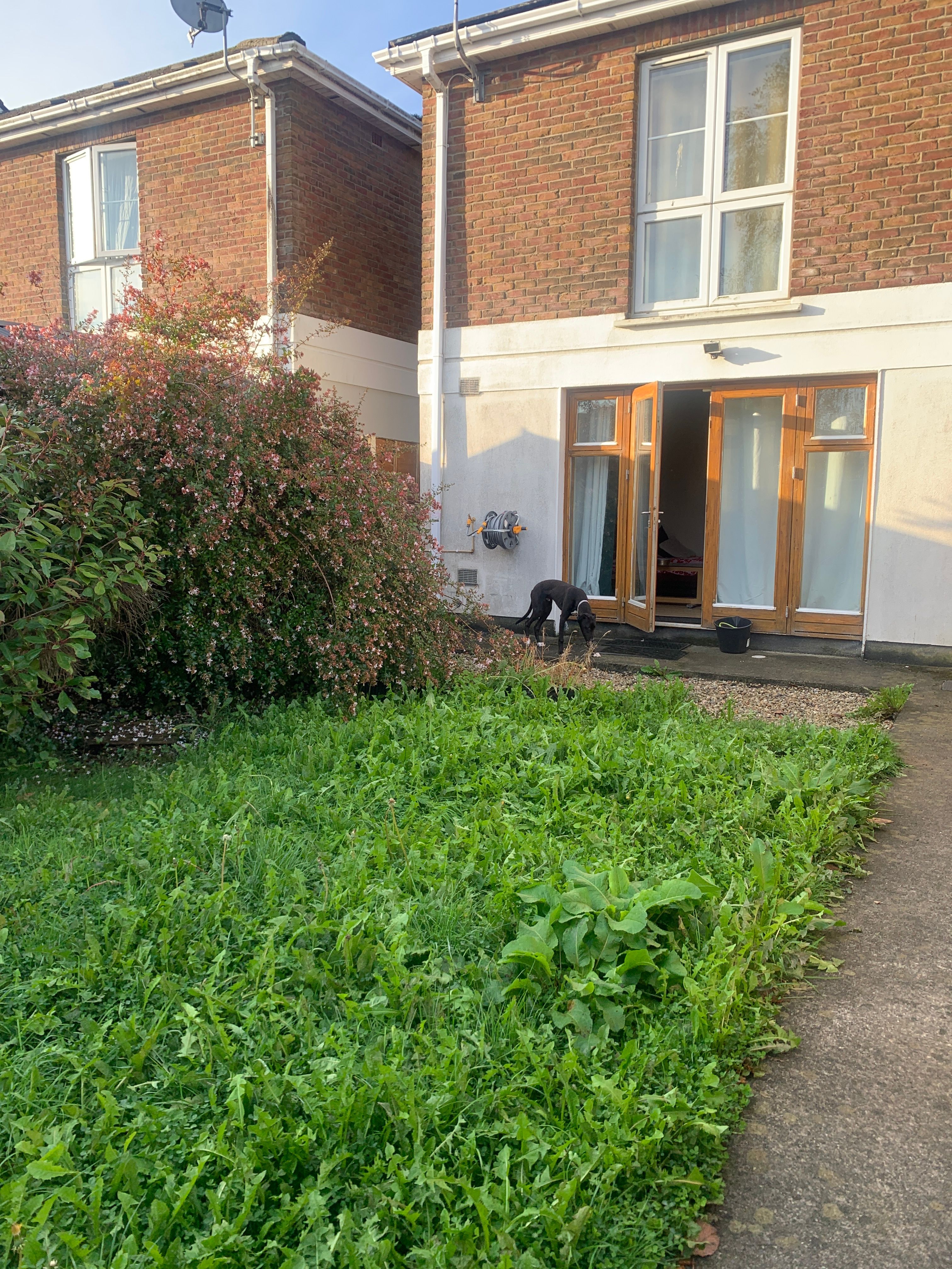 image-32