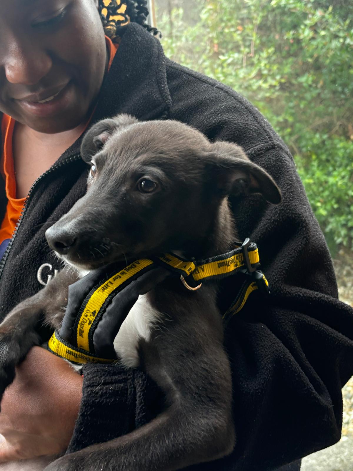 image-3