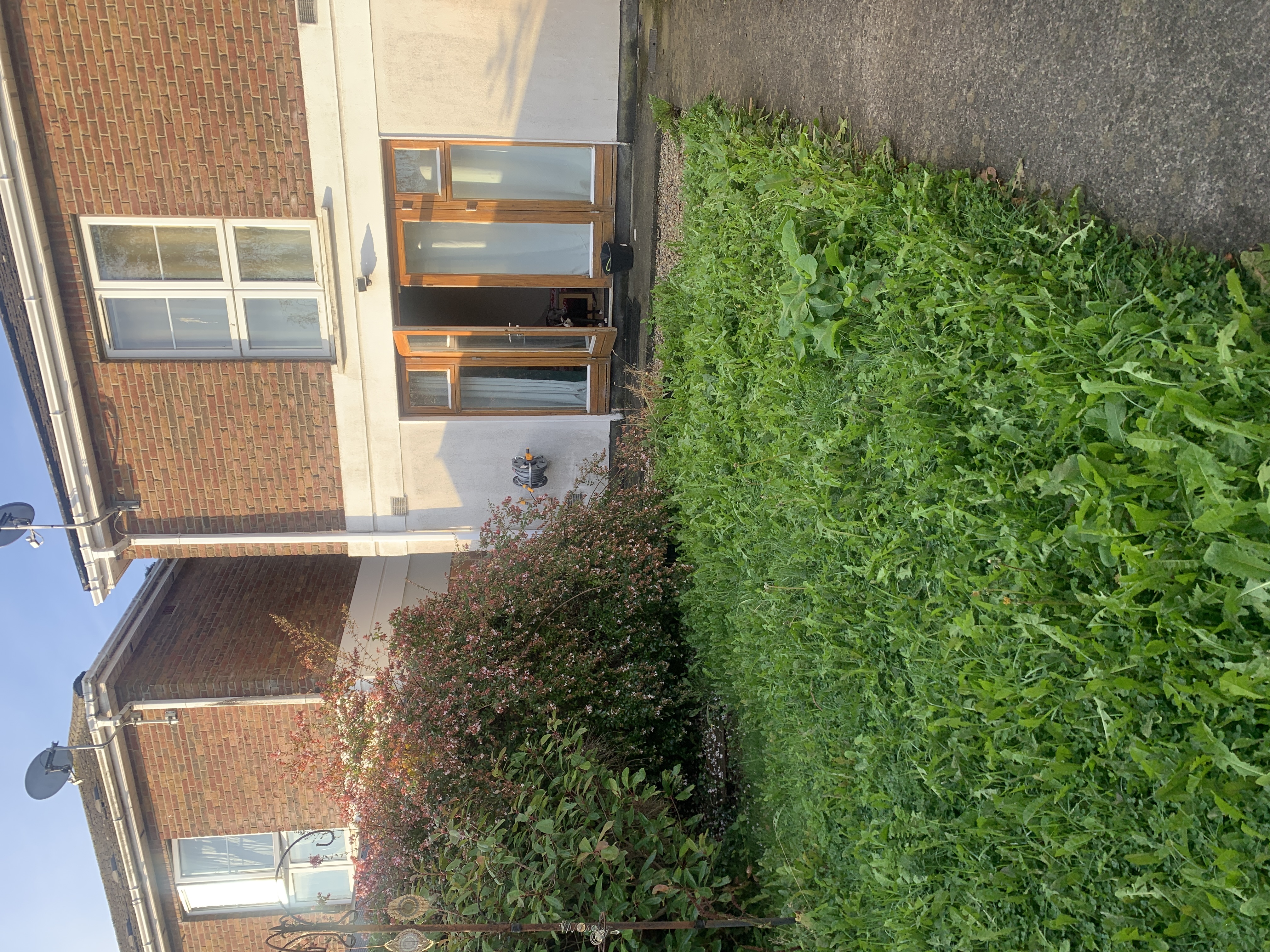 image-29