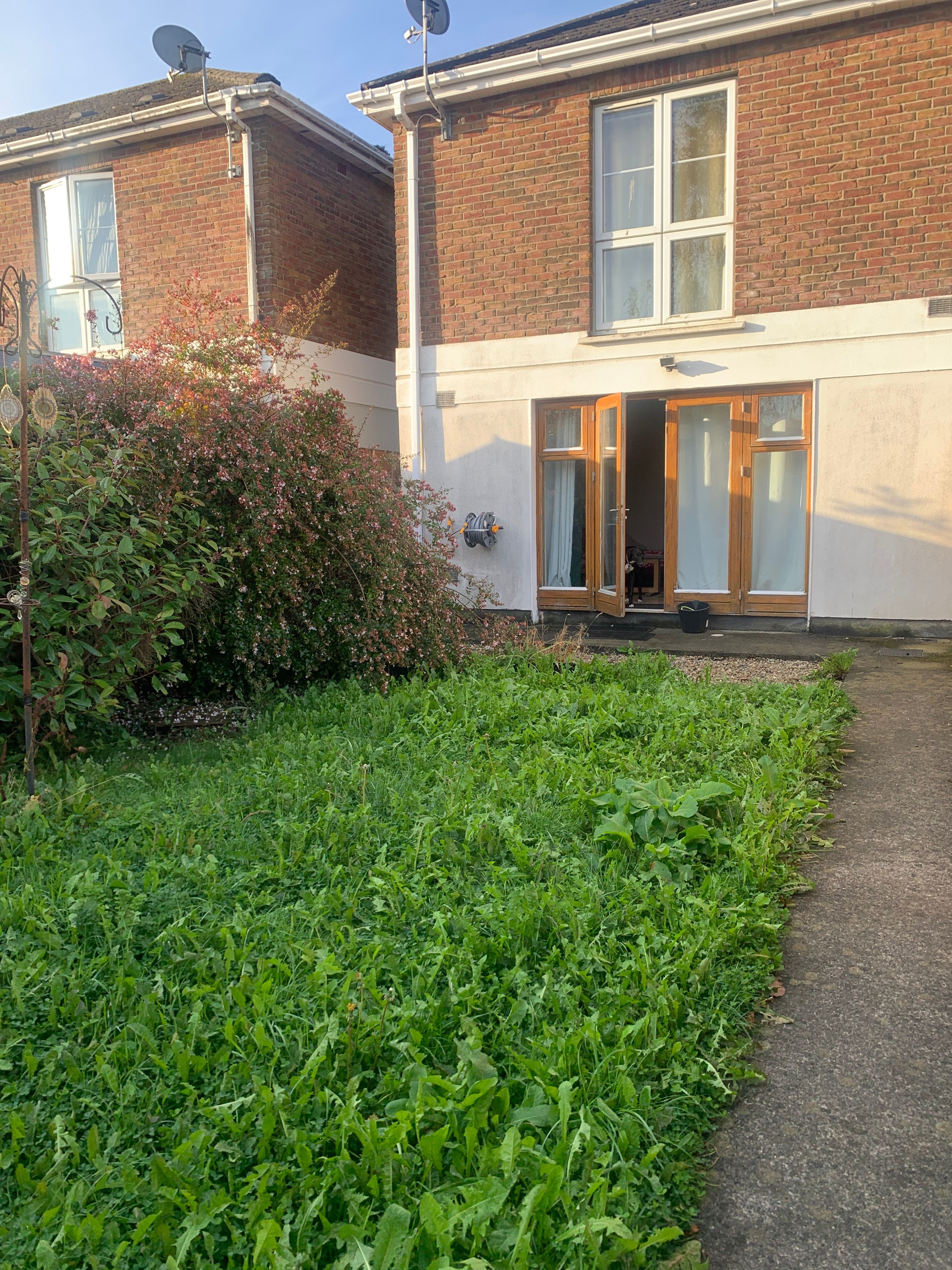 image-29