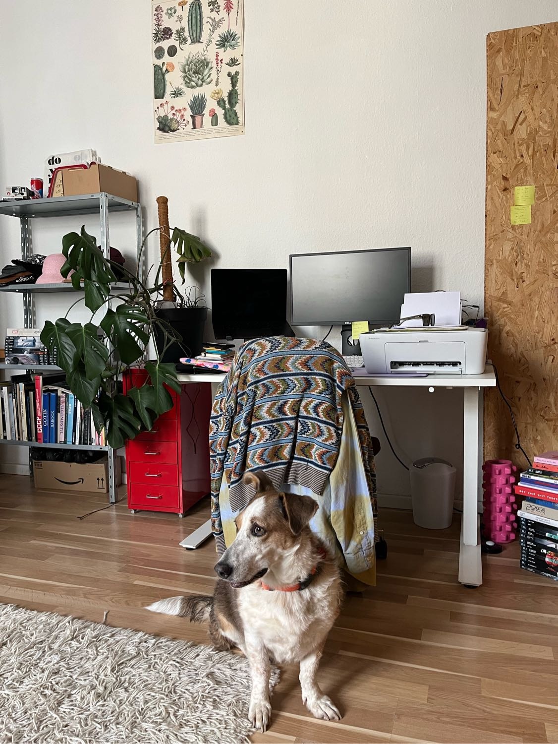 image-4