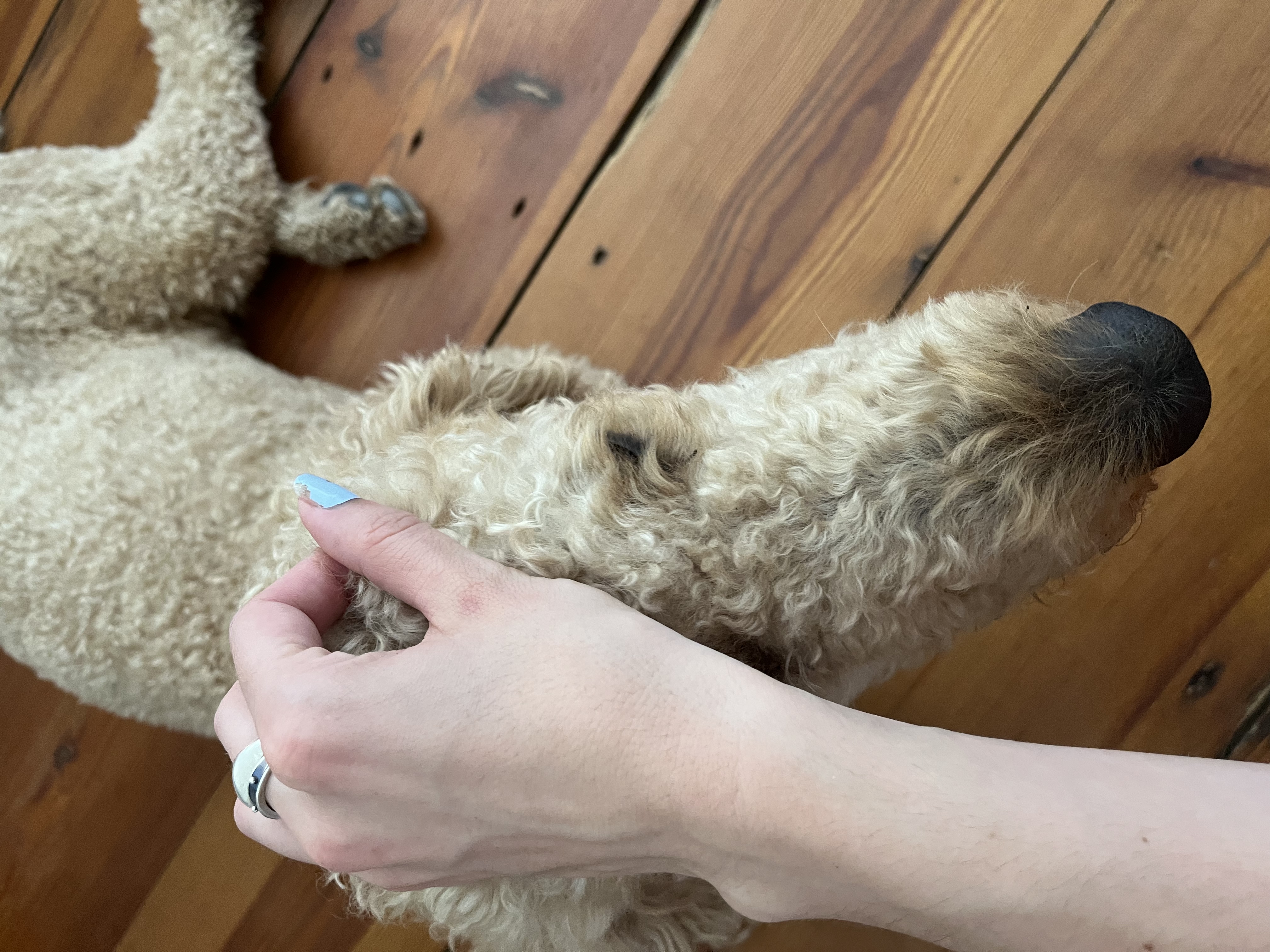 image-9