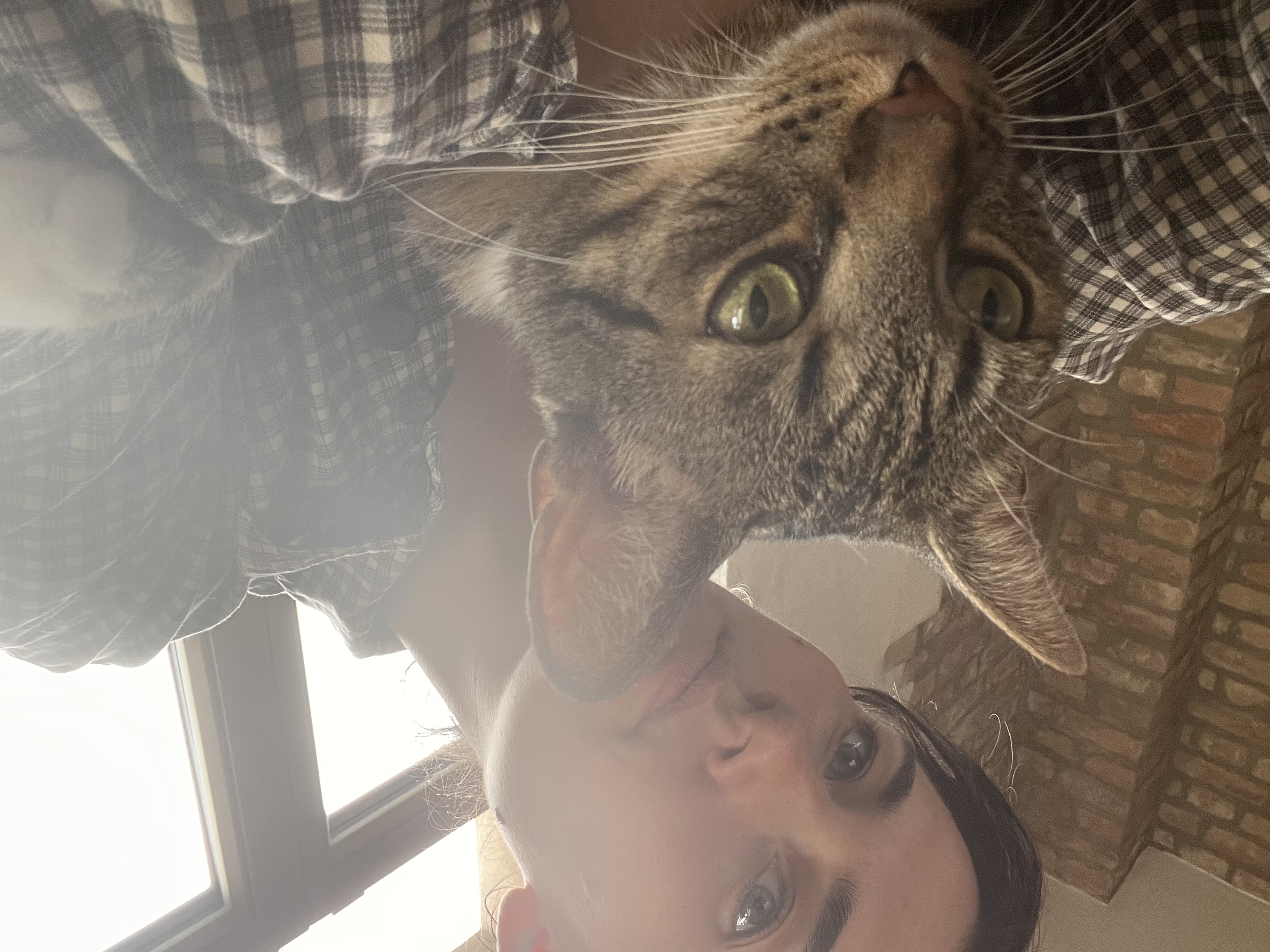 image-6