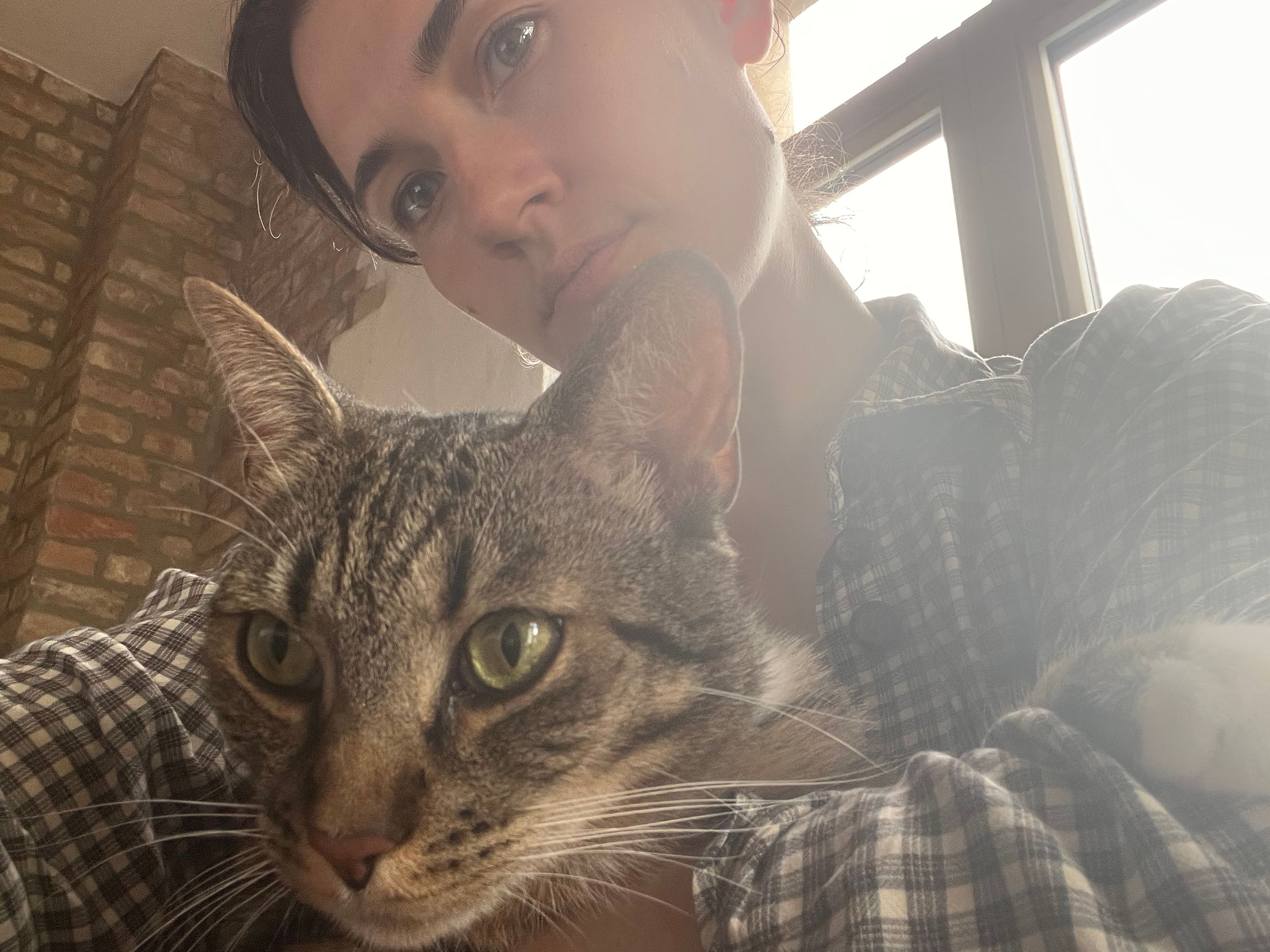 image-6