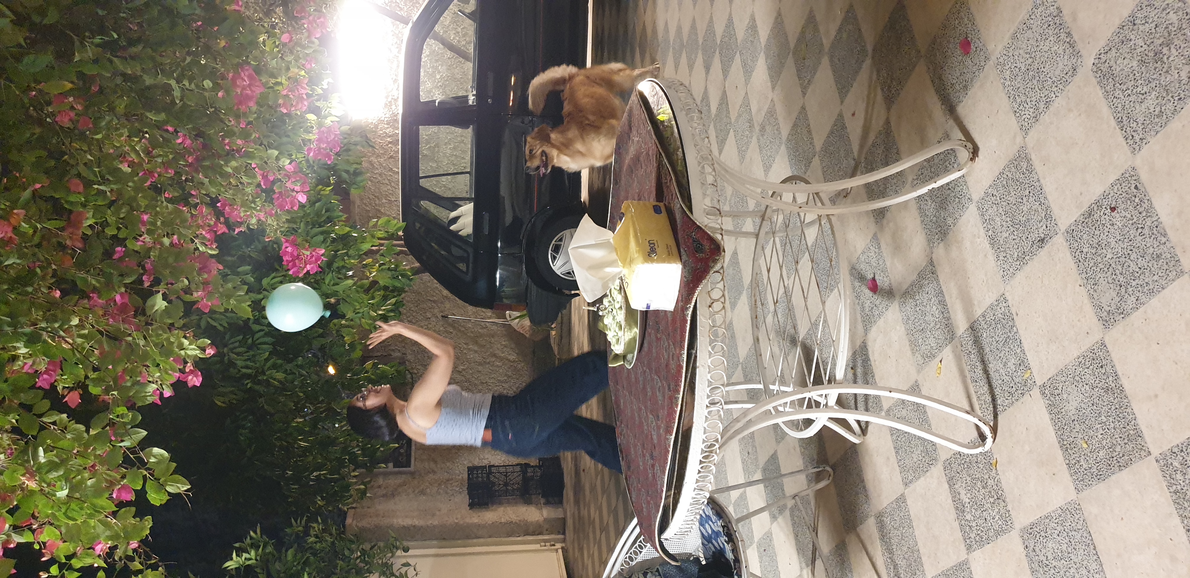 image-6