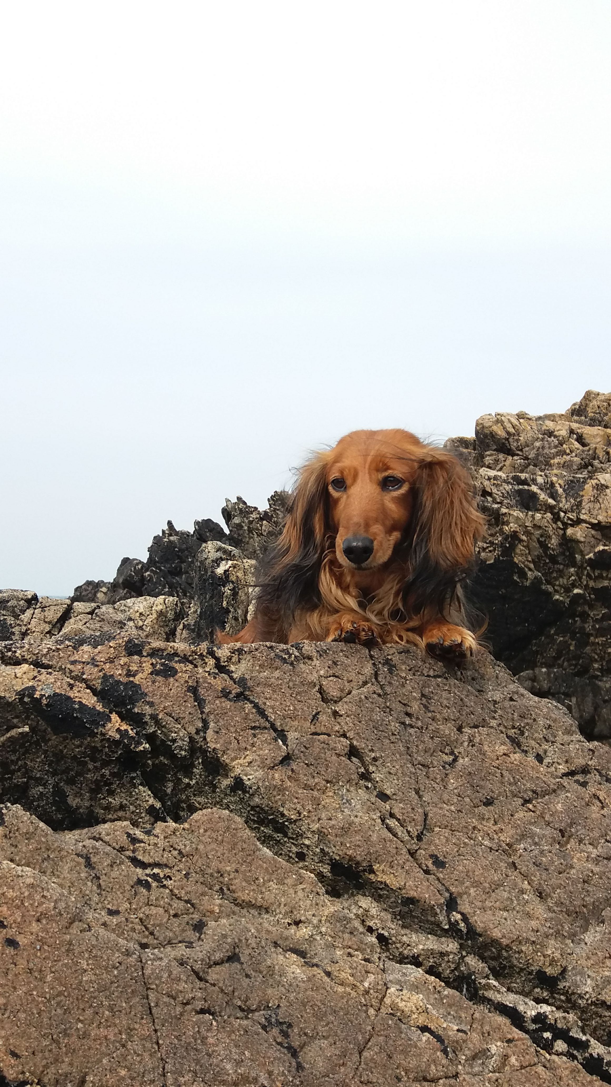 image-8