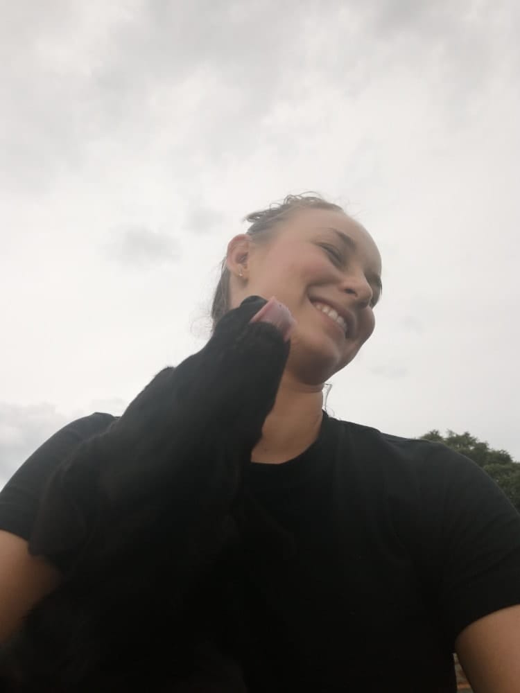 image-6