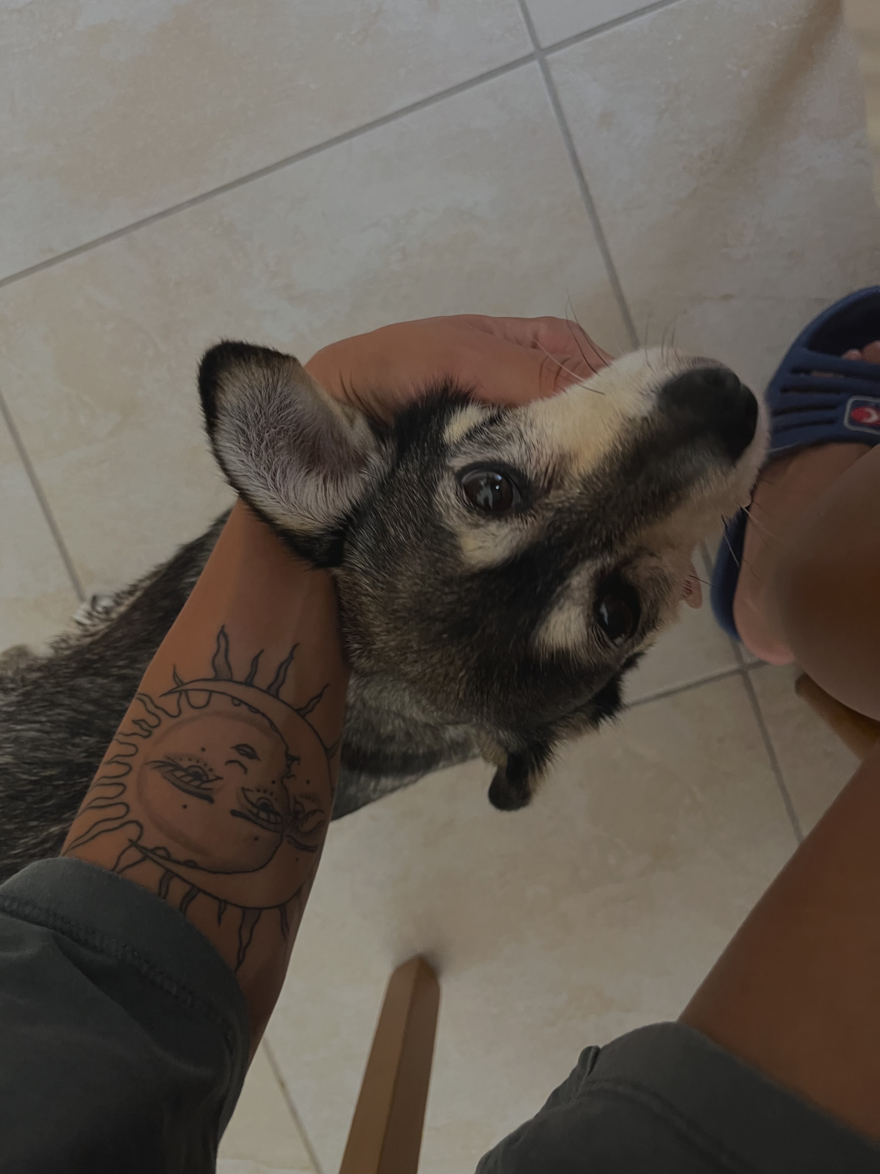 image-3