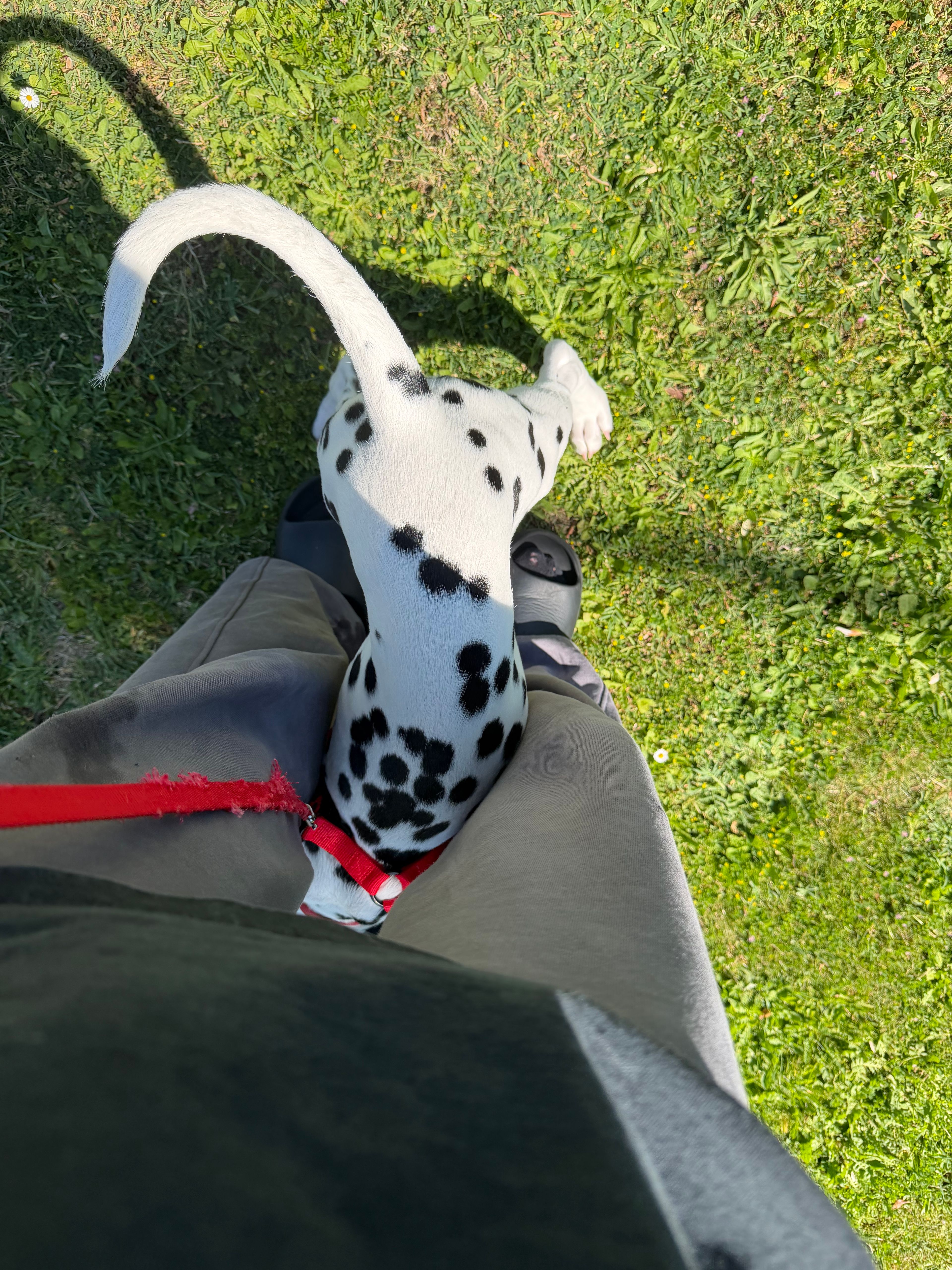 image-7